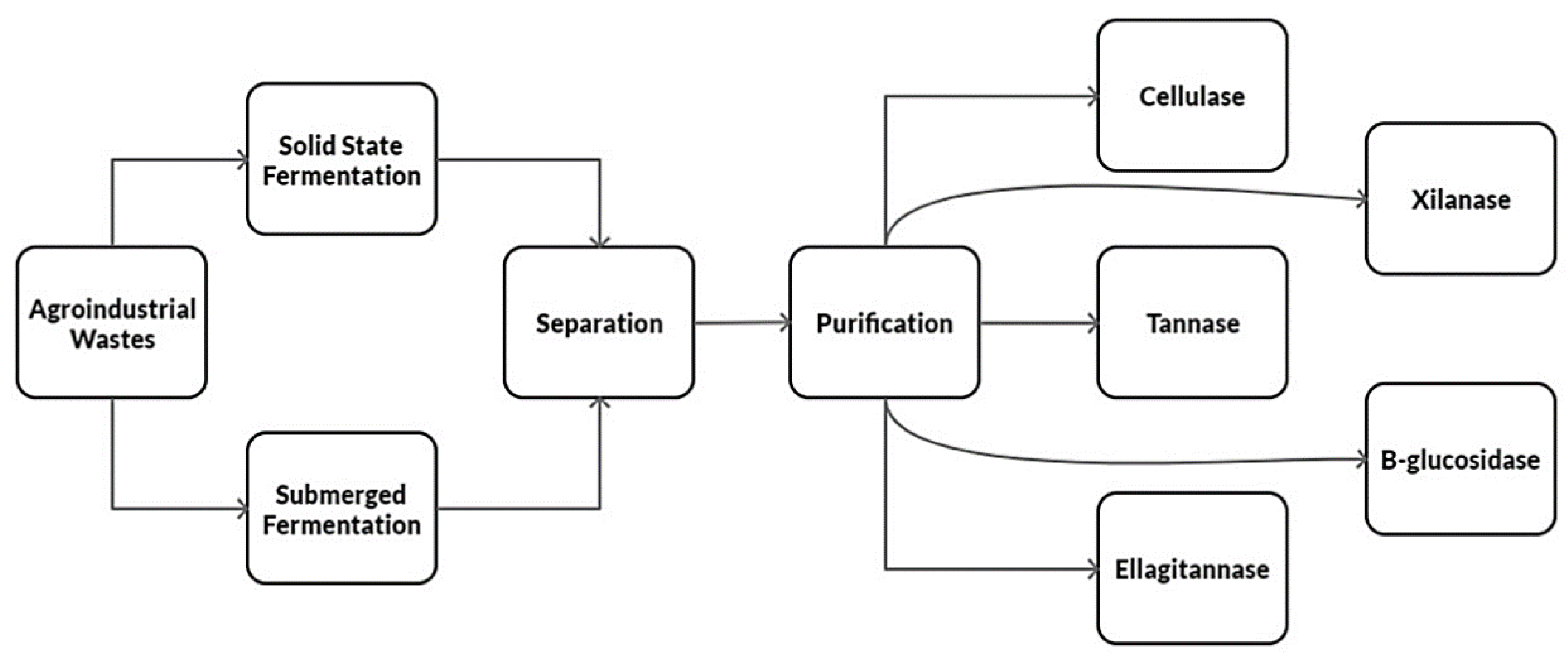 Fermentation 07 00048 g002