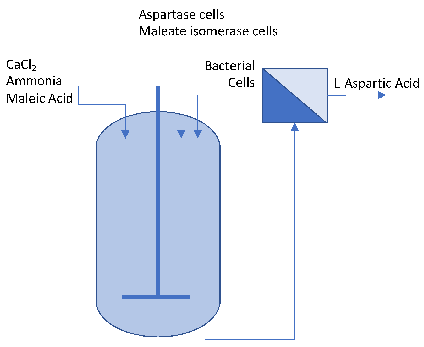 Fermentation 07 00049 g003