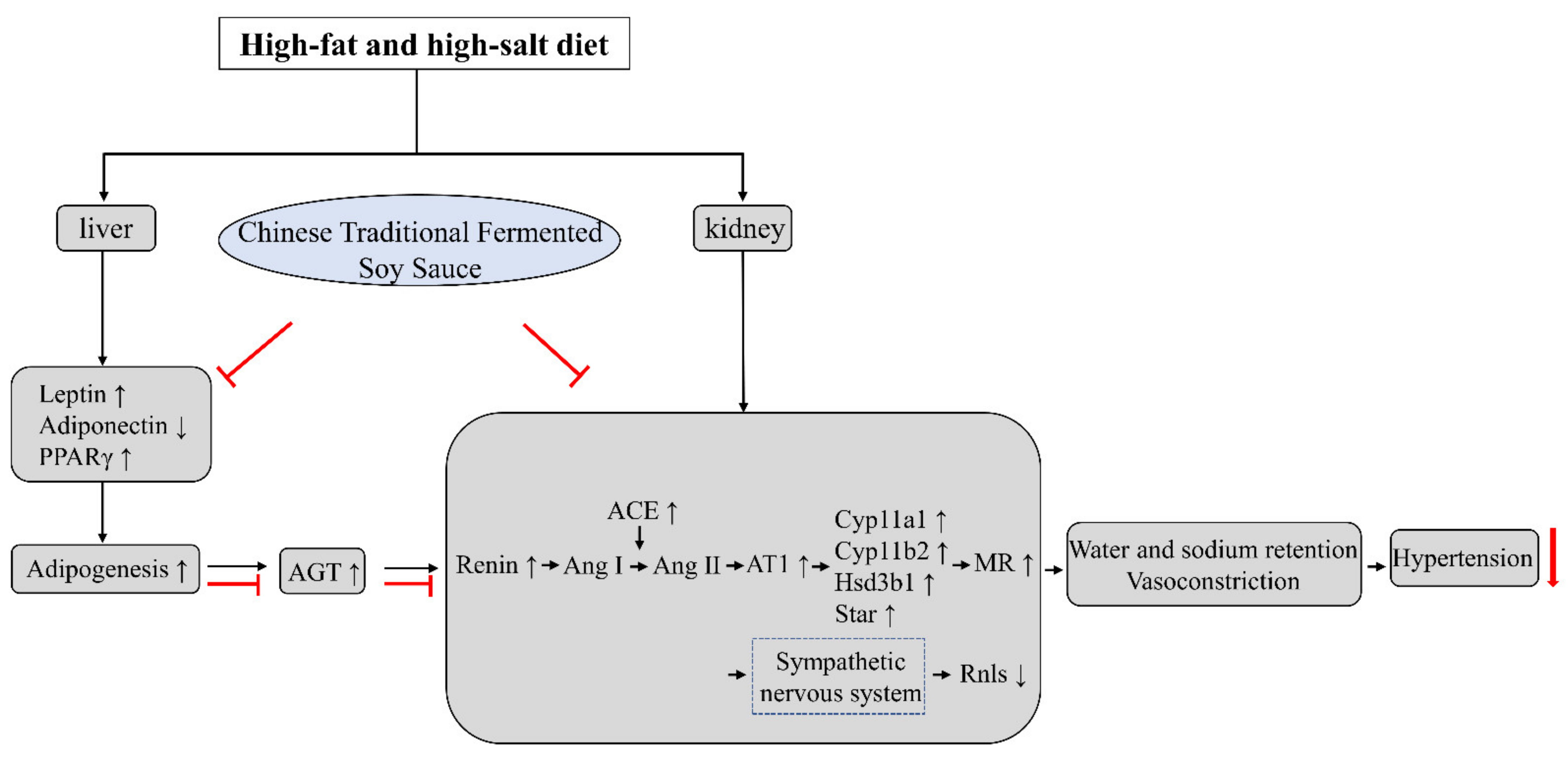 Fermentation 07 00052 g006
