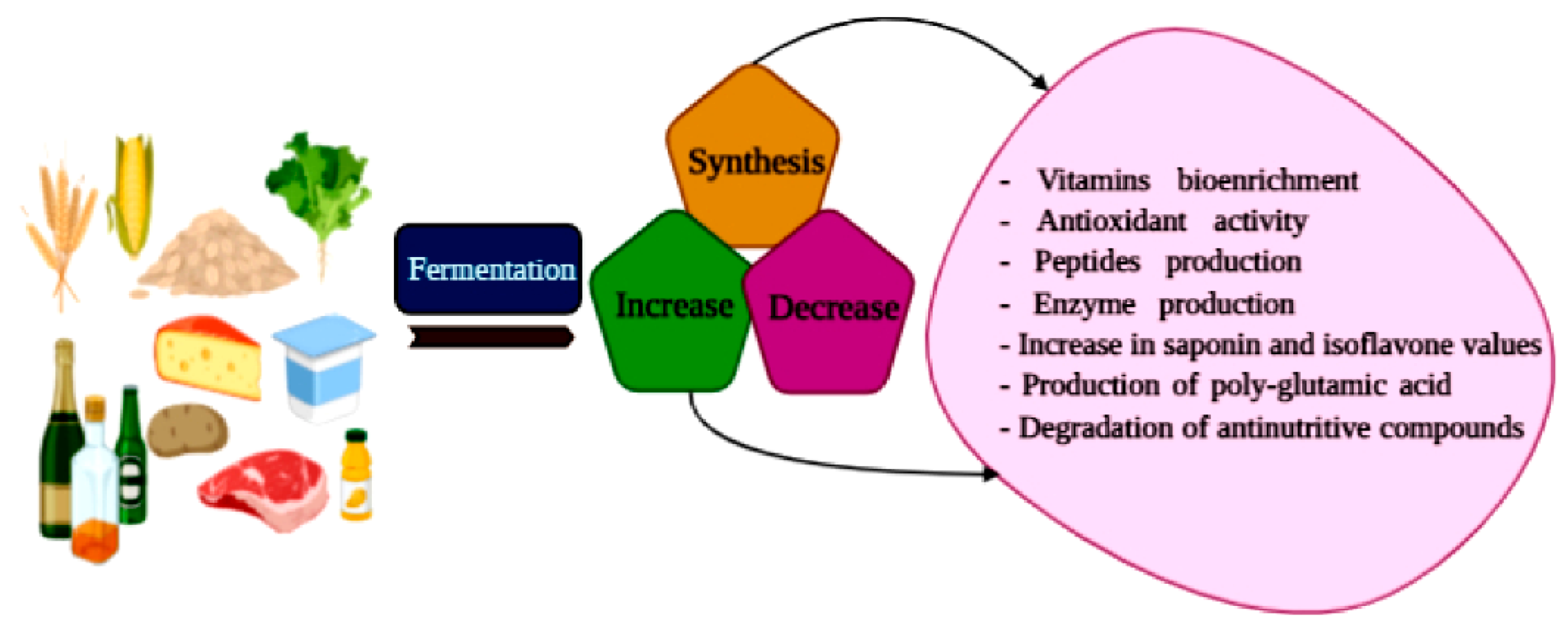 Fermentation 07 00054 g001