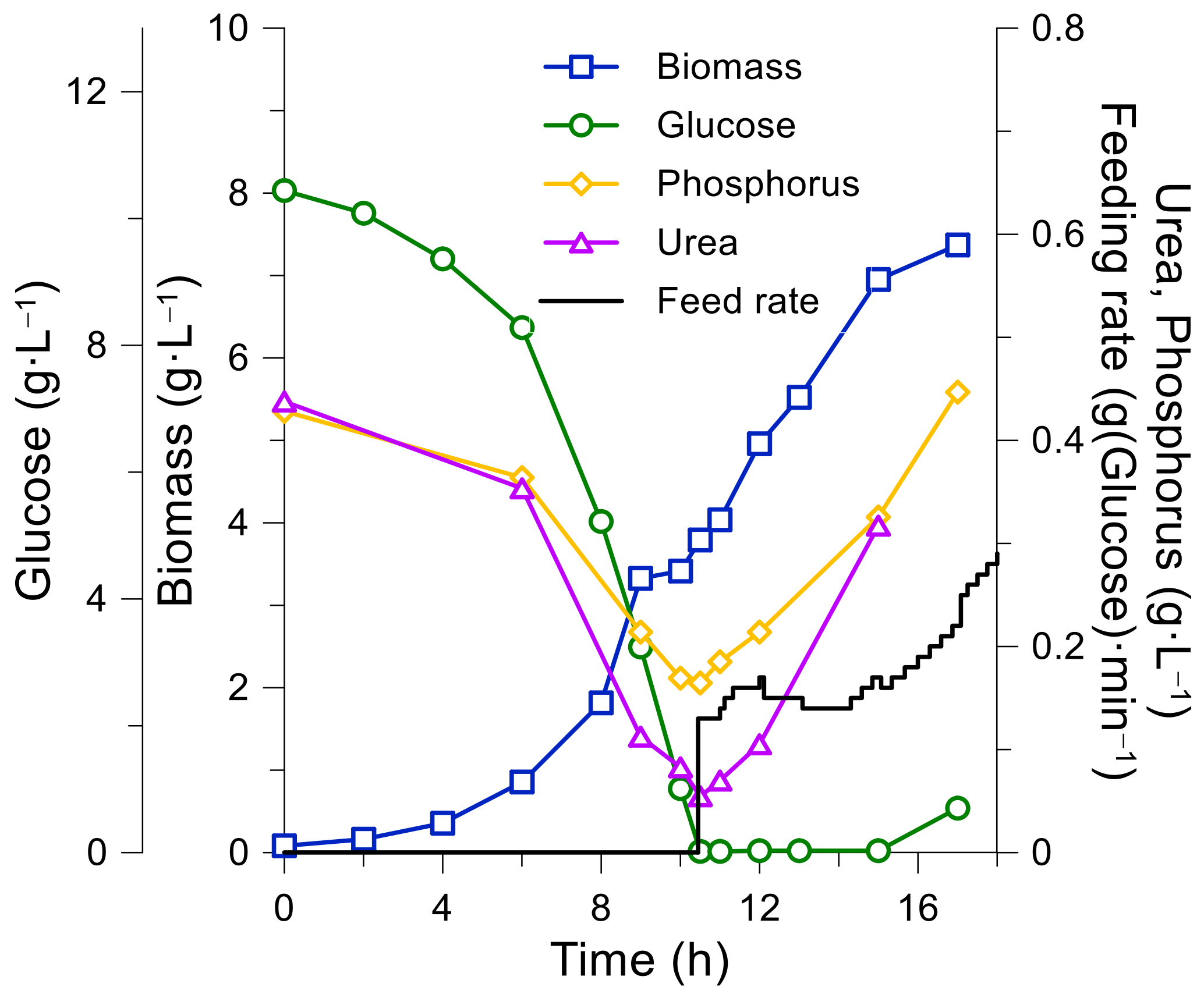 Fermentation 07 00062 g004