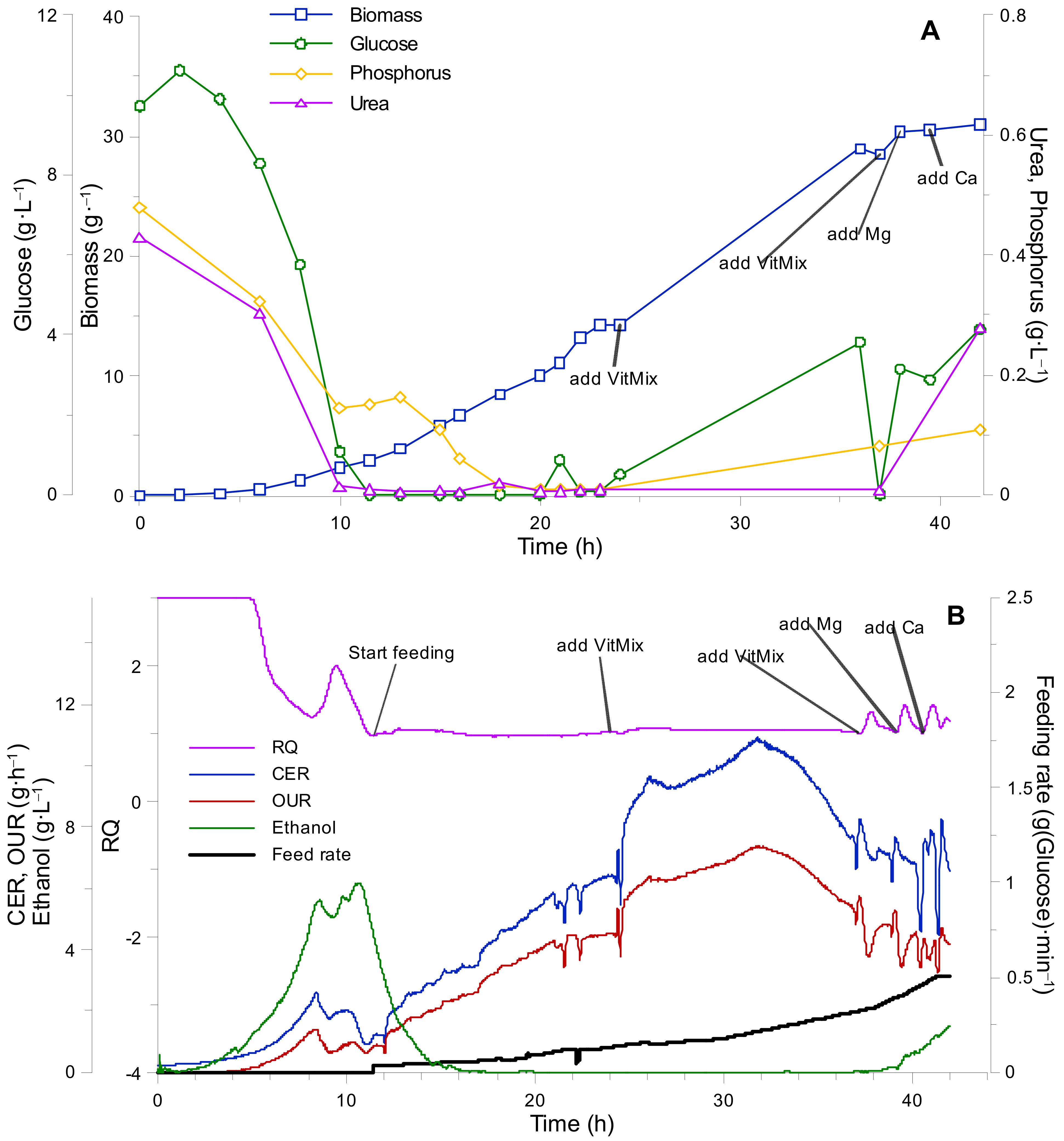 Fermentation Free Full Text Optimization Of Synthetic Media Position For Kluyveromyces Marxianus Fed Batch Cultivation Html