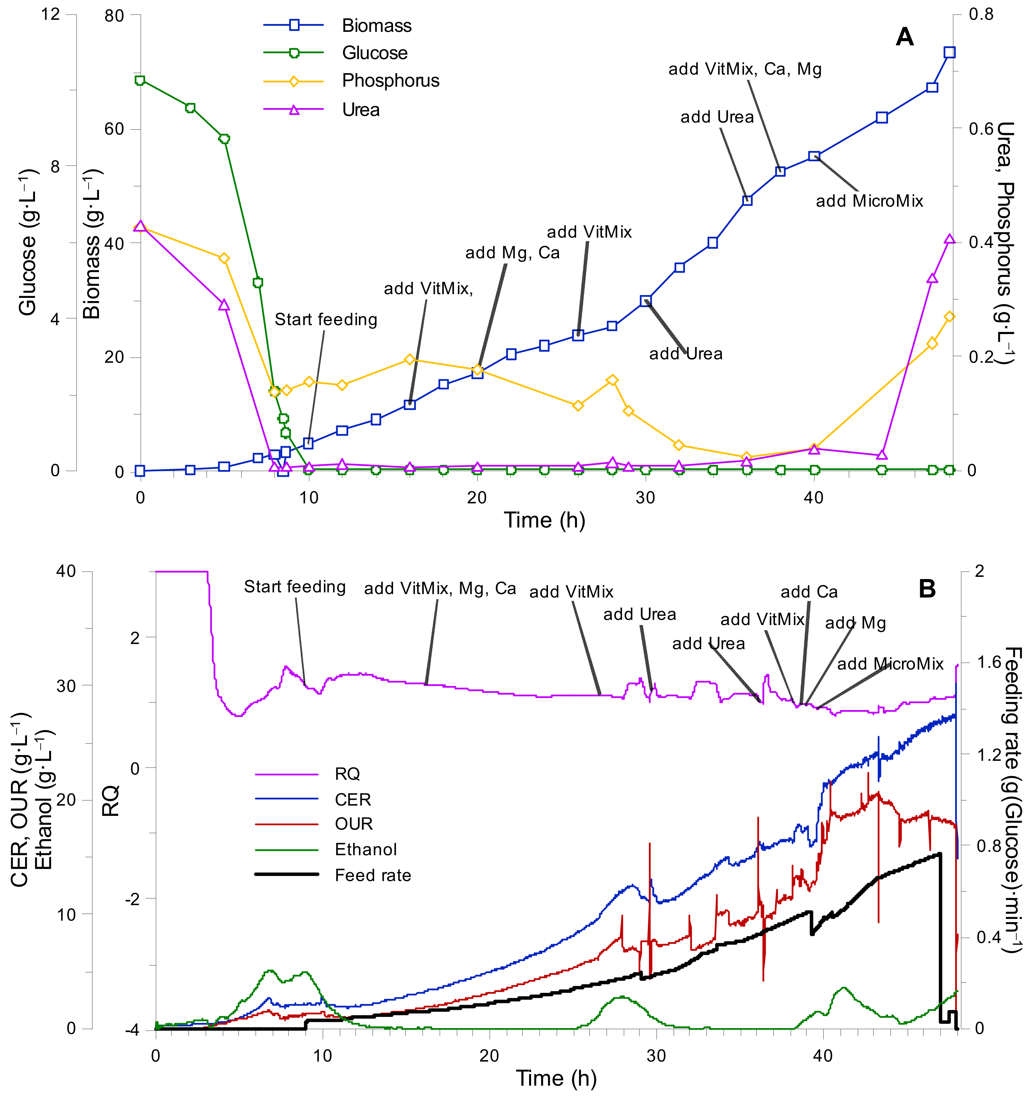 Fermentation Free Full Text Optimization Of Synthetic Media Position For Kluyveromyces Marxianus Fed Batch Cultivation Html