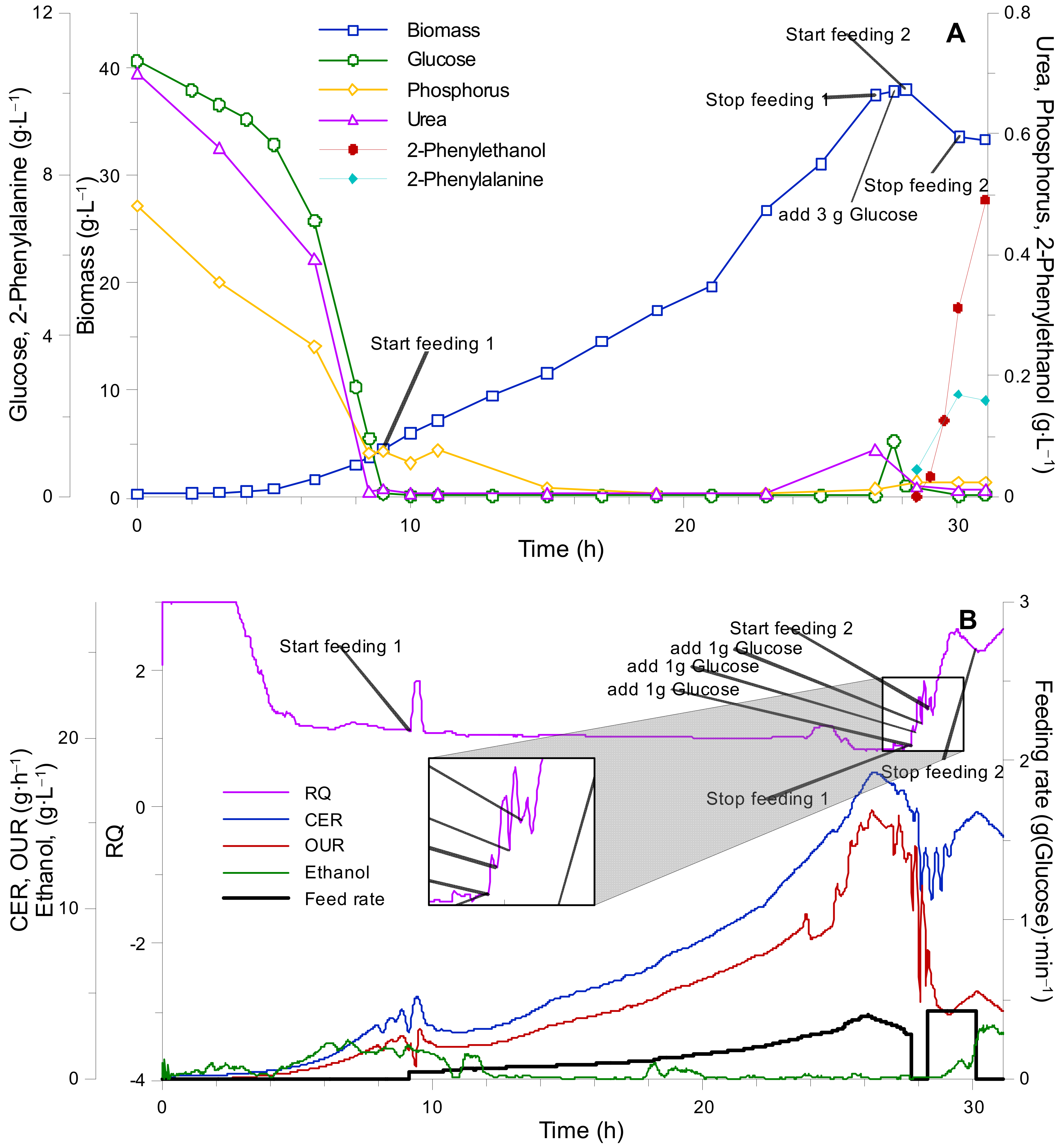 Fermentation Free Full Text Optimization Of Synthetic Media Position For Kluyveromyces Marxianus Fed Batch Cultivation Html