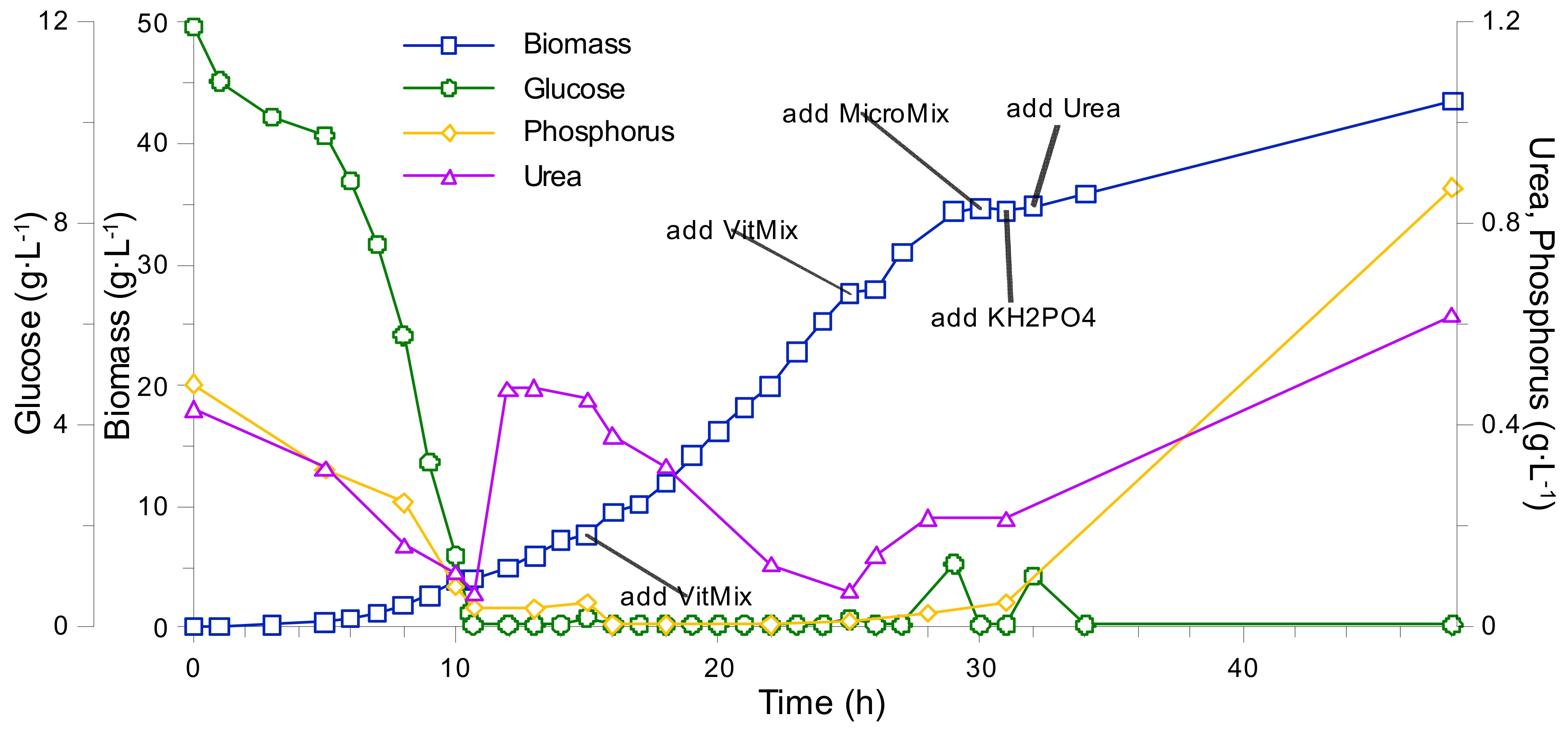 Fermentation 07 00062 g0a2