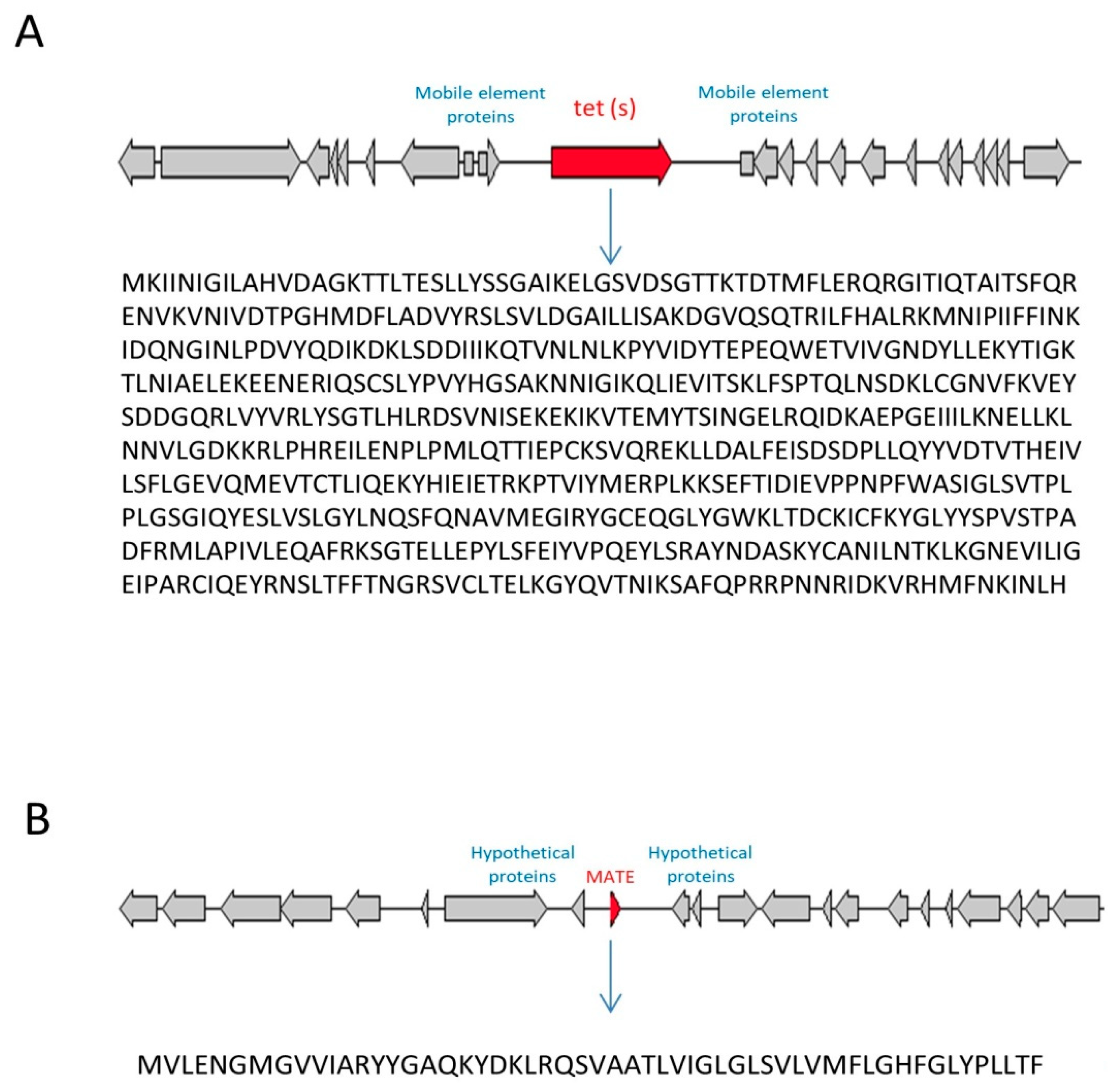 Fermentation 07 00065 g001 Fermentation 07 00065 g001