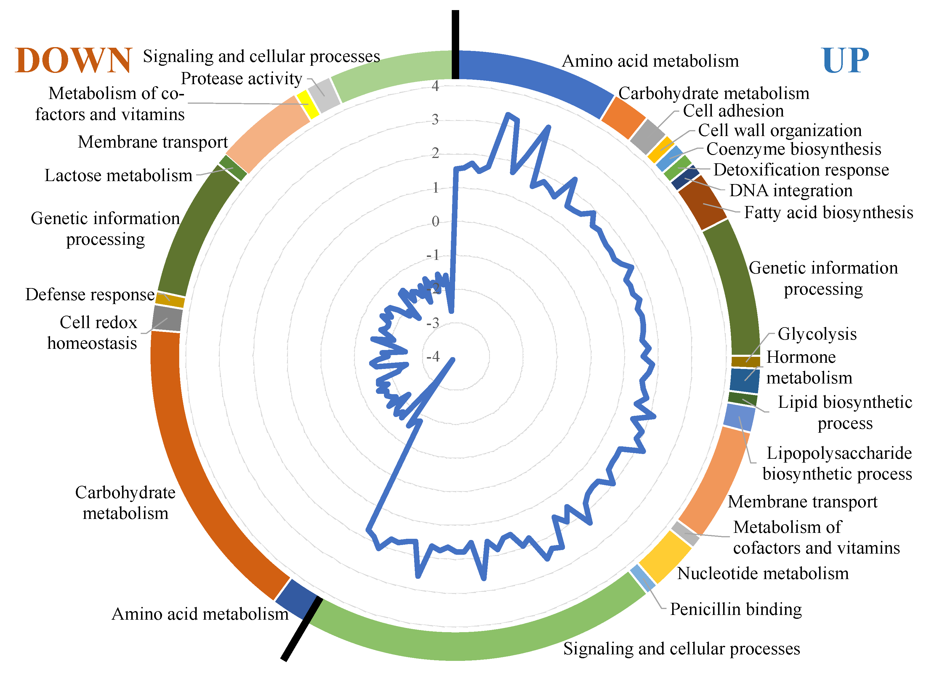 Fermentation 07 00068 g002
