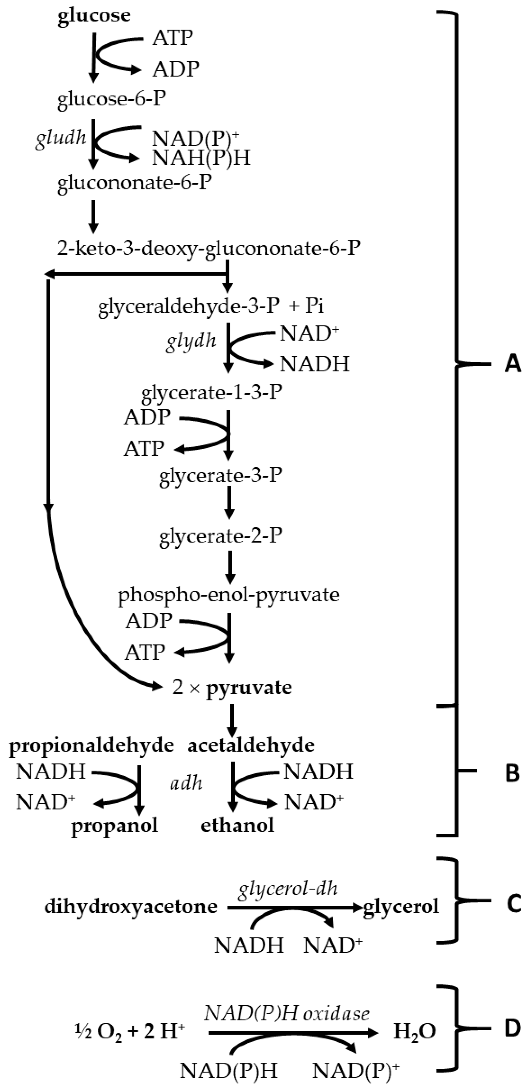 Fermentation 07 00080 g006 Fermentation 07 00080 g006