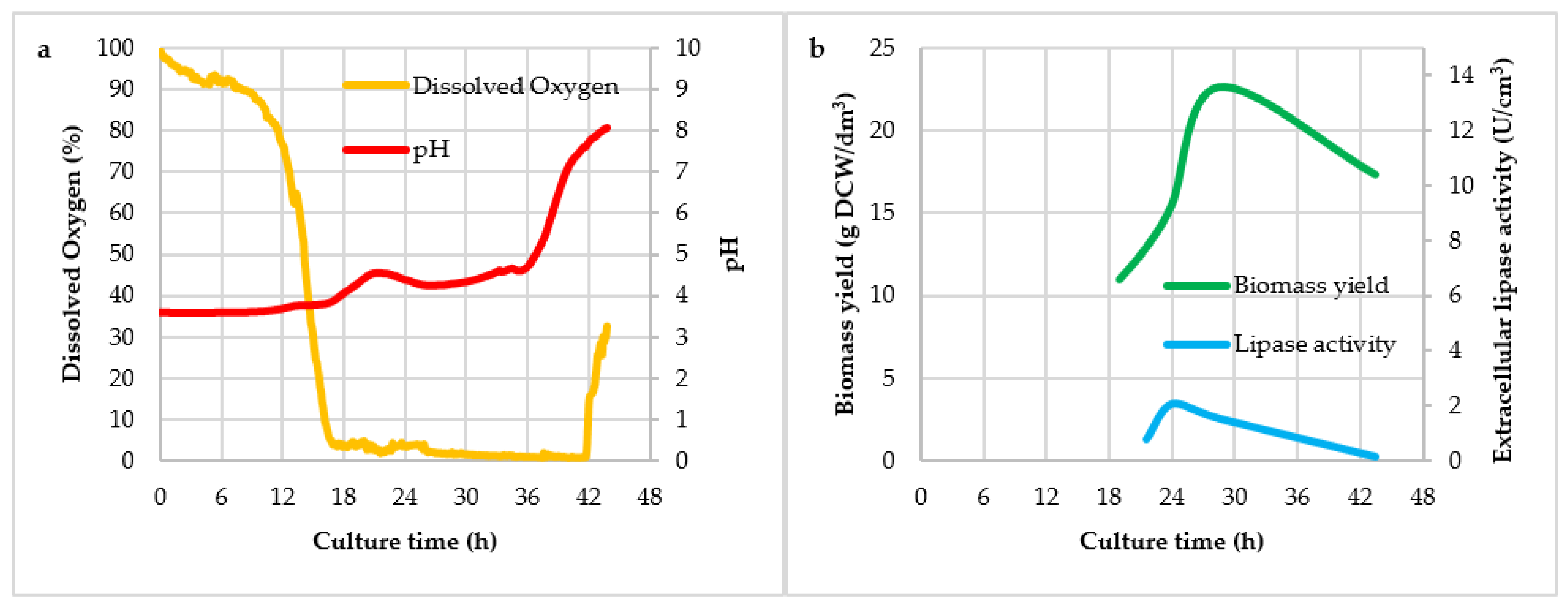 Fermentation 07 00088 g002