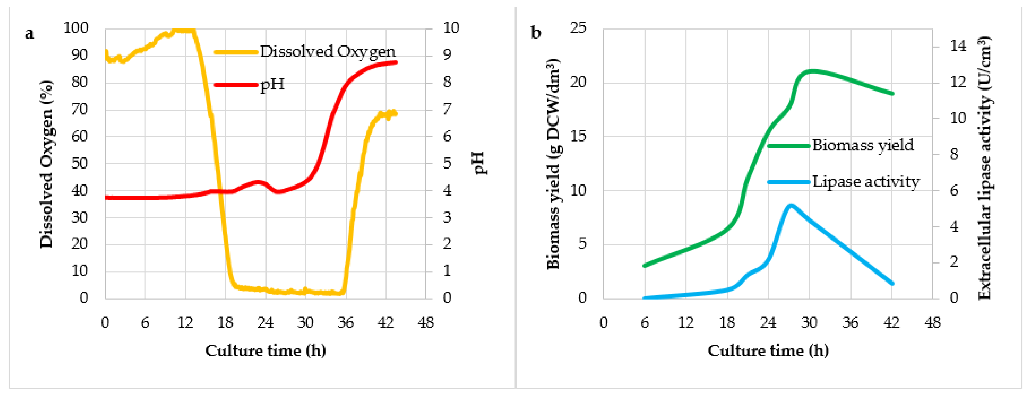Fermentation 07 00088 g003