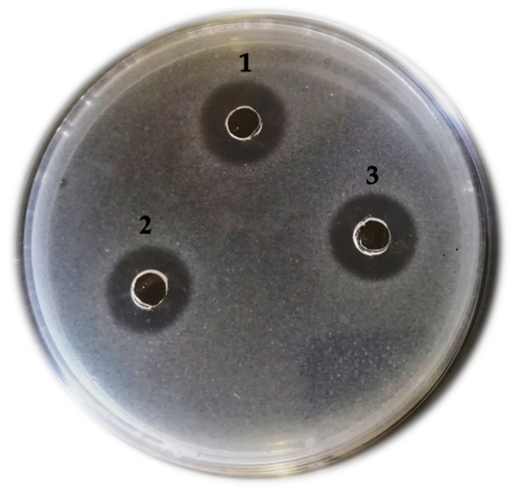 Fermentation 07 00089 g001