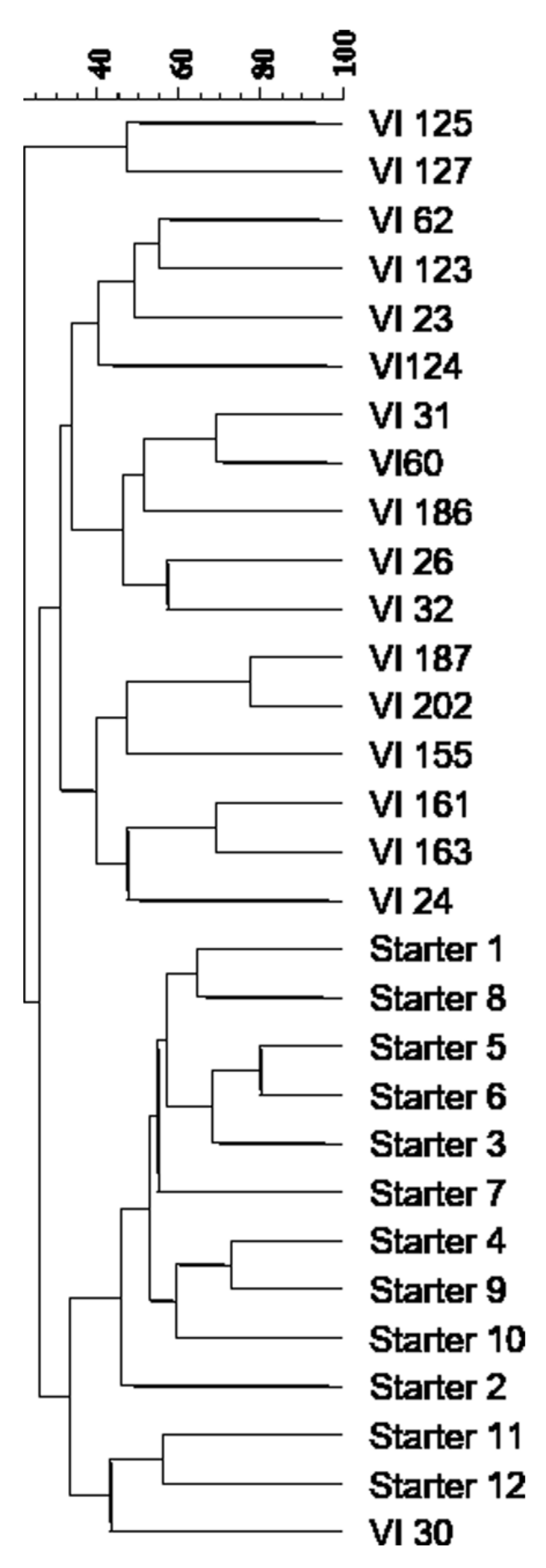 Fermentation 07 00099 g002