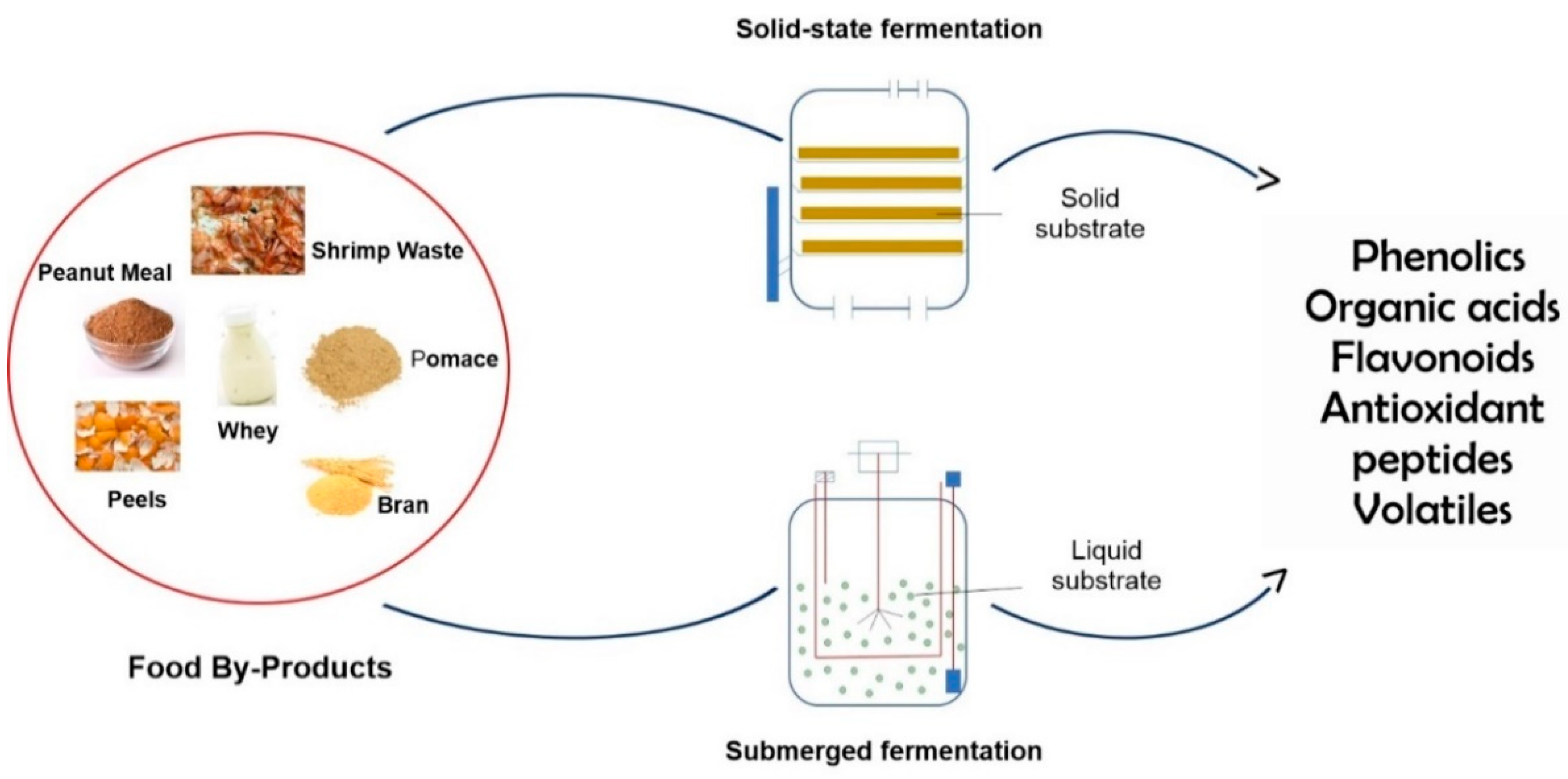 Fermentation - Fermentation 07 00106 G001