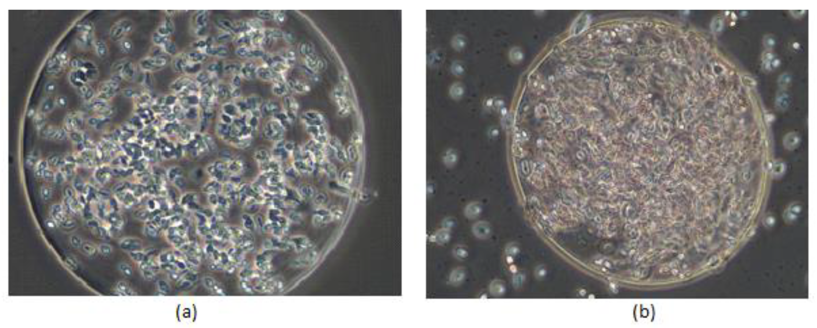 Fermentation 07 00112 g001