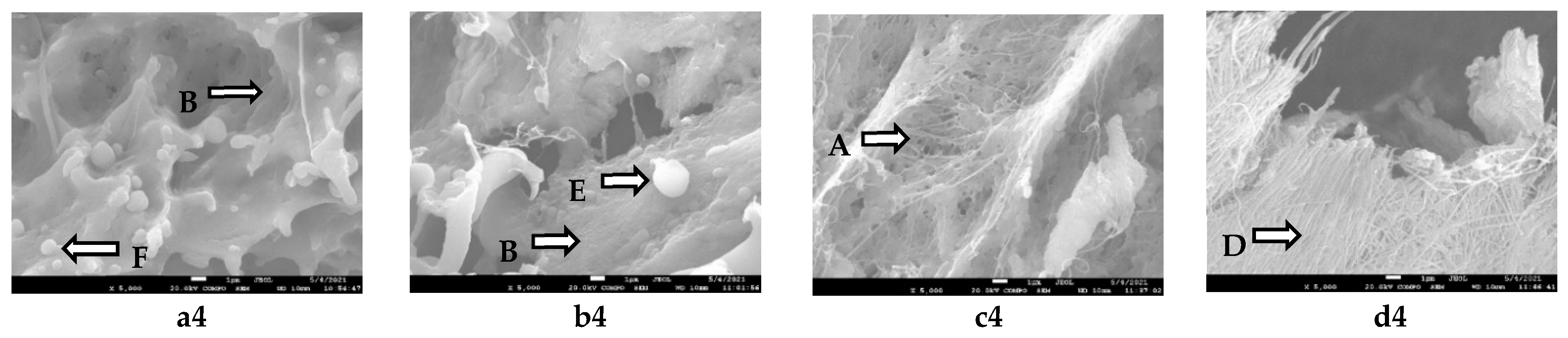 Fermentation 07 00122 g006b 550