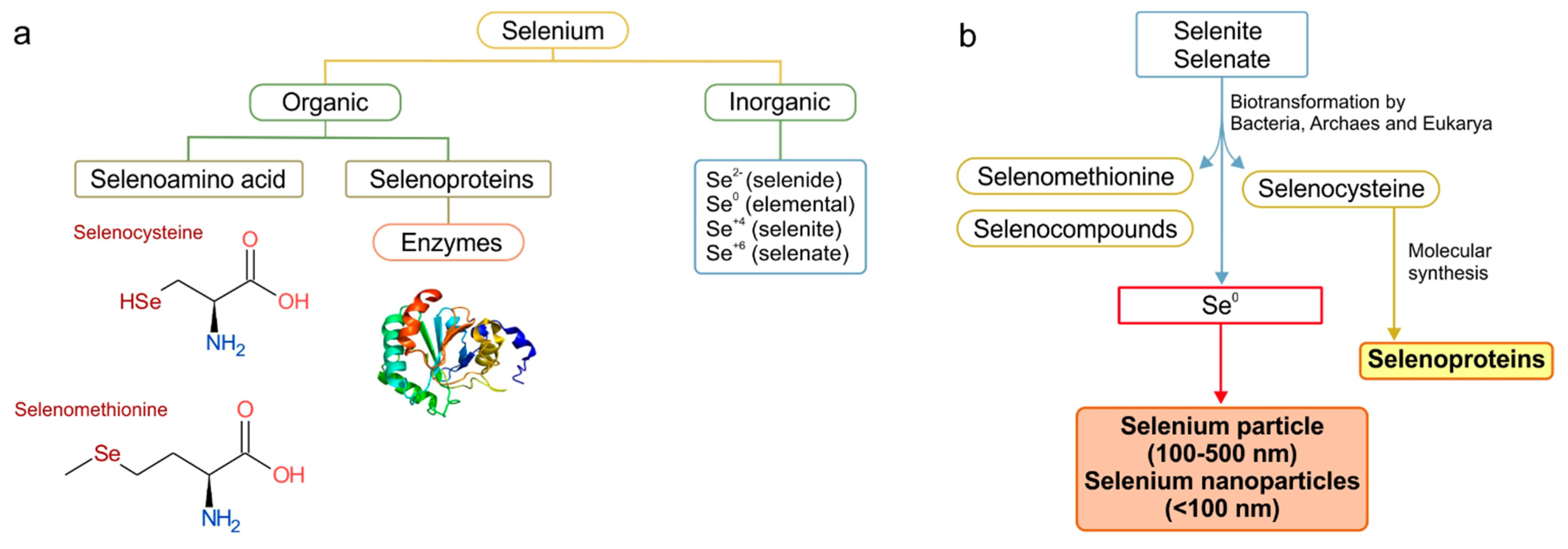 Fermentation 07 00130 g001 550