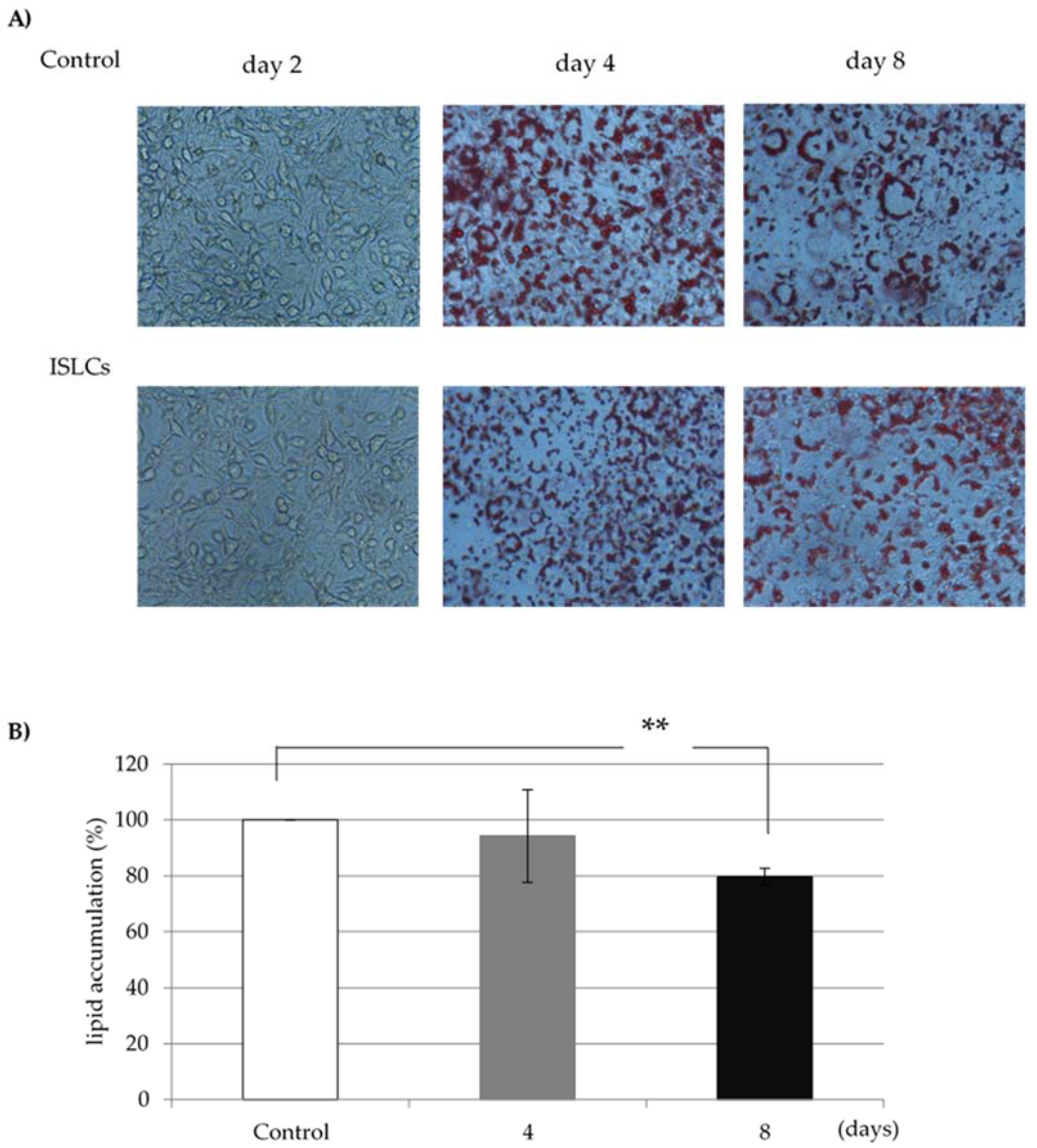 Fermentation 07 00145 g001 550