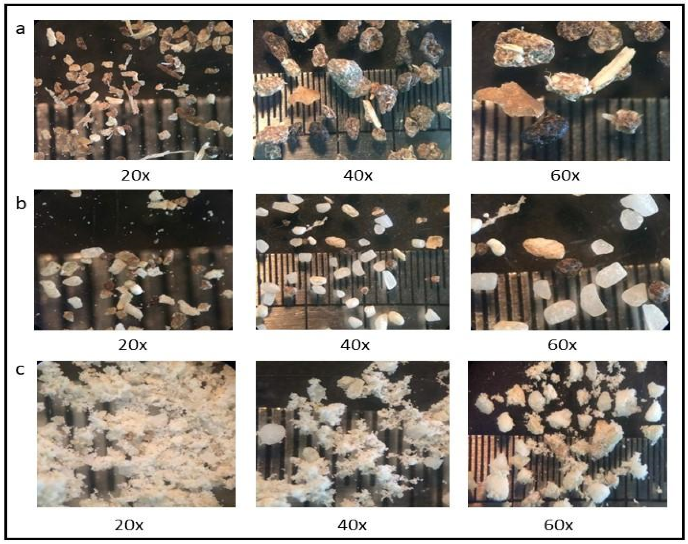 Fermentation 07 00149 g001 Fermentation 07 00149 g001