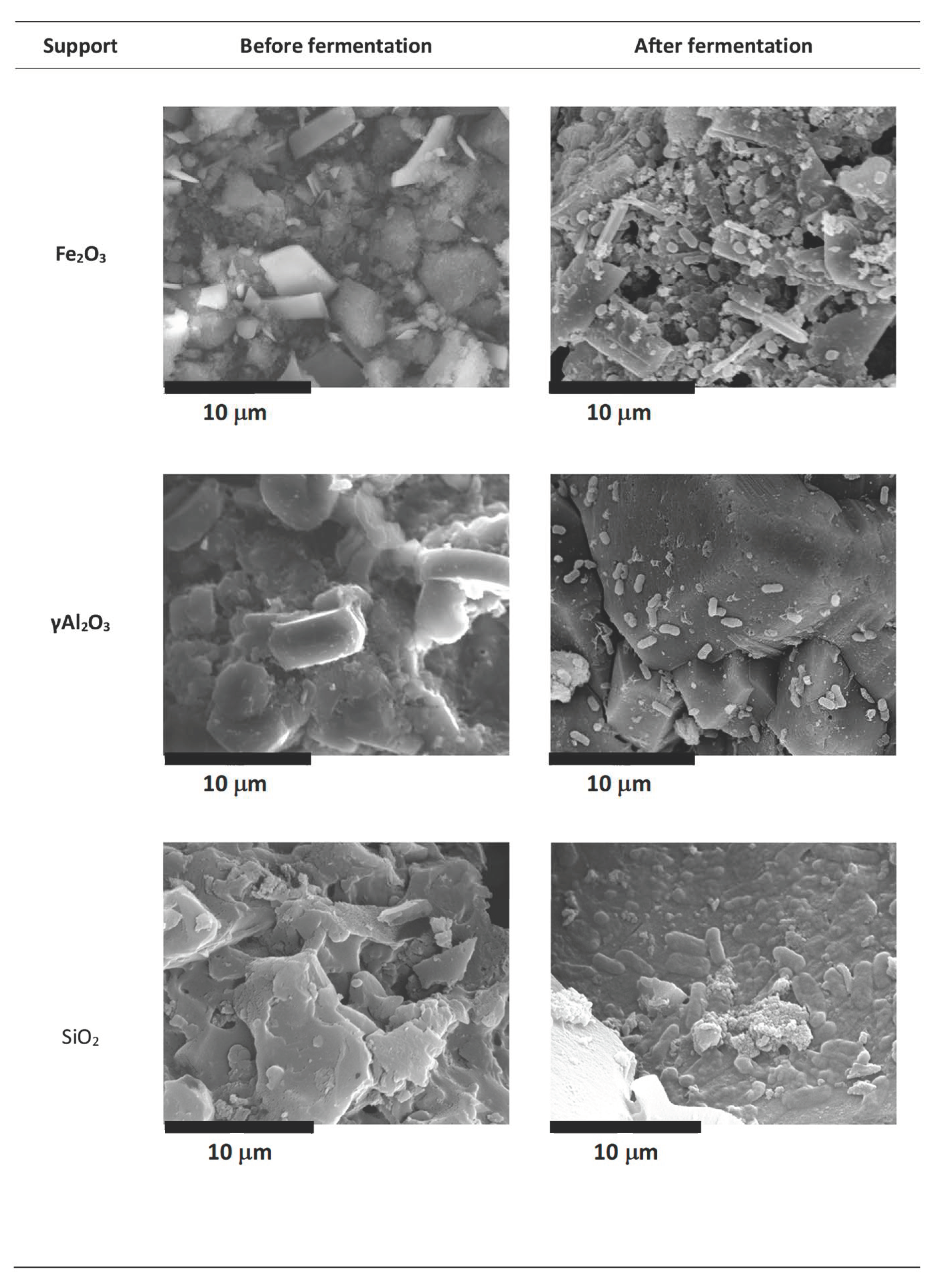 Fermentation 07 00154 g003a 550