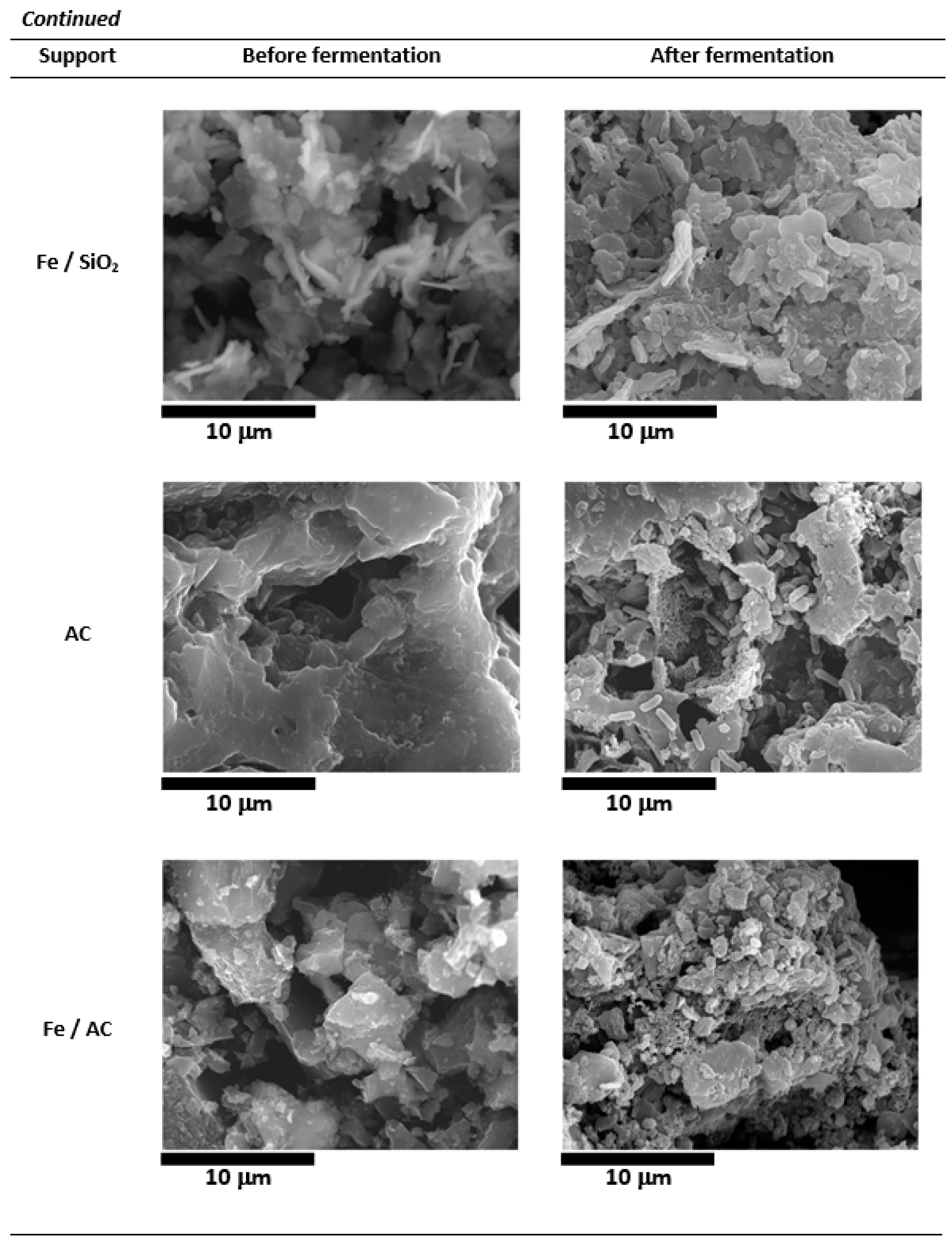 Fermentation 07 00154 g003b 550