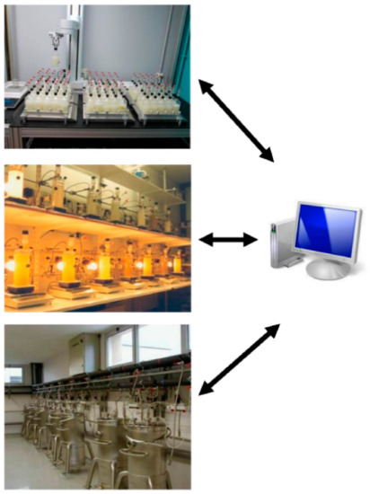 Fermentation 07 00155 g001 550