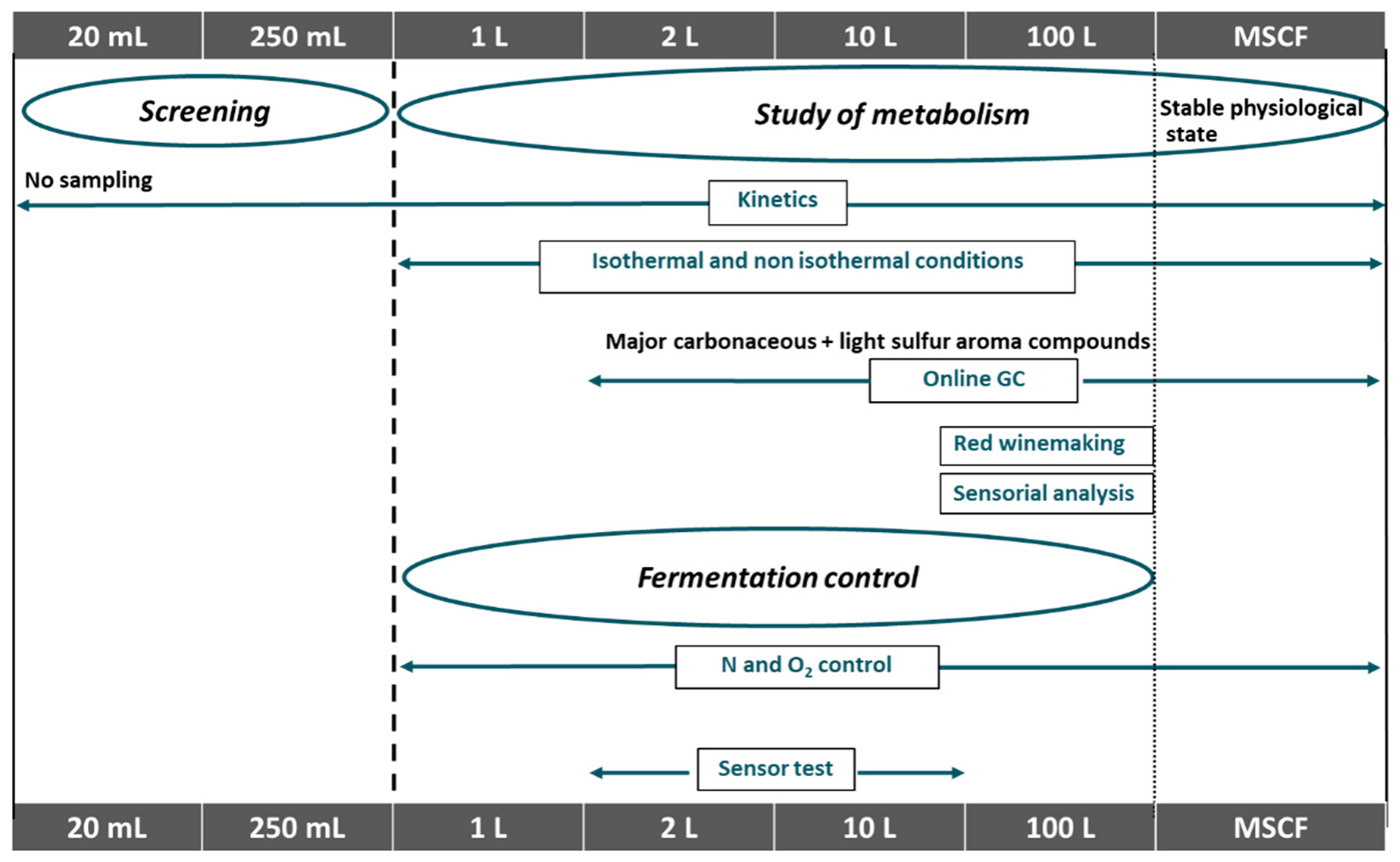 Fermentation 07 00155 g009 550