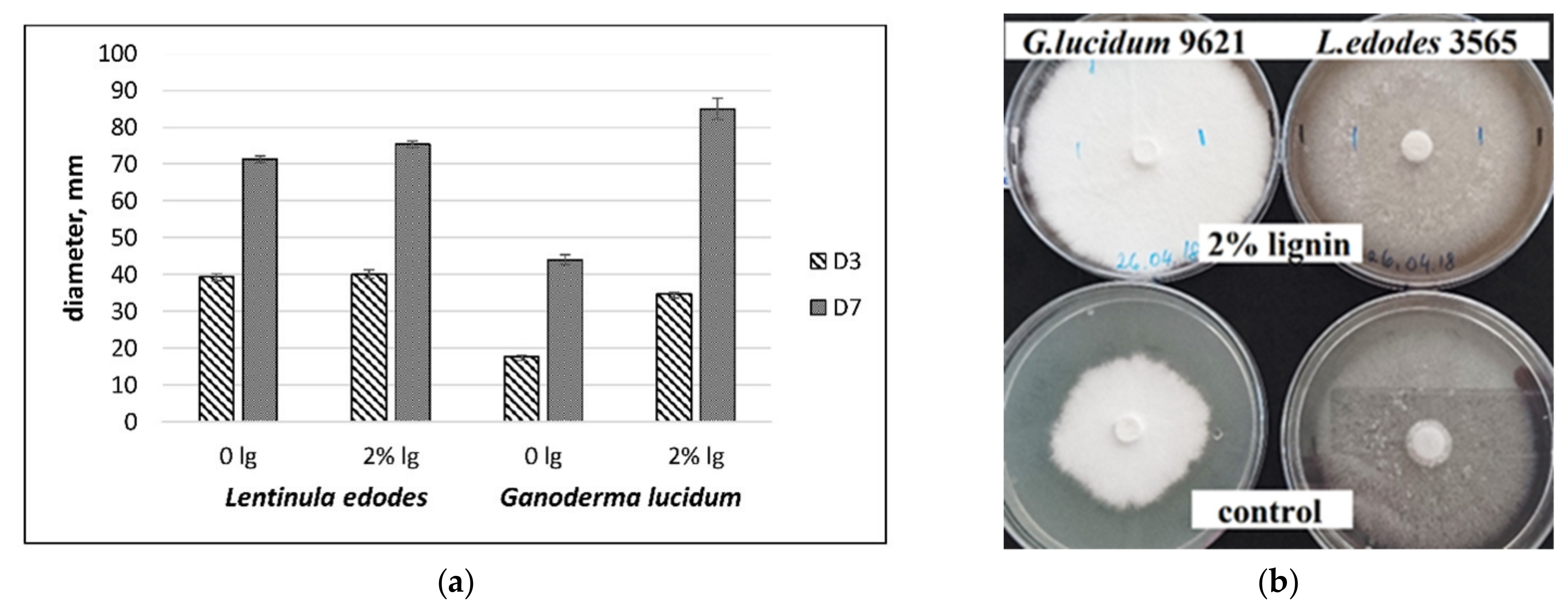 Fermentation 07 00157 g001