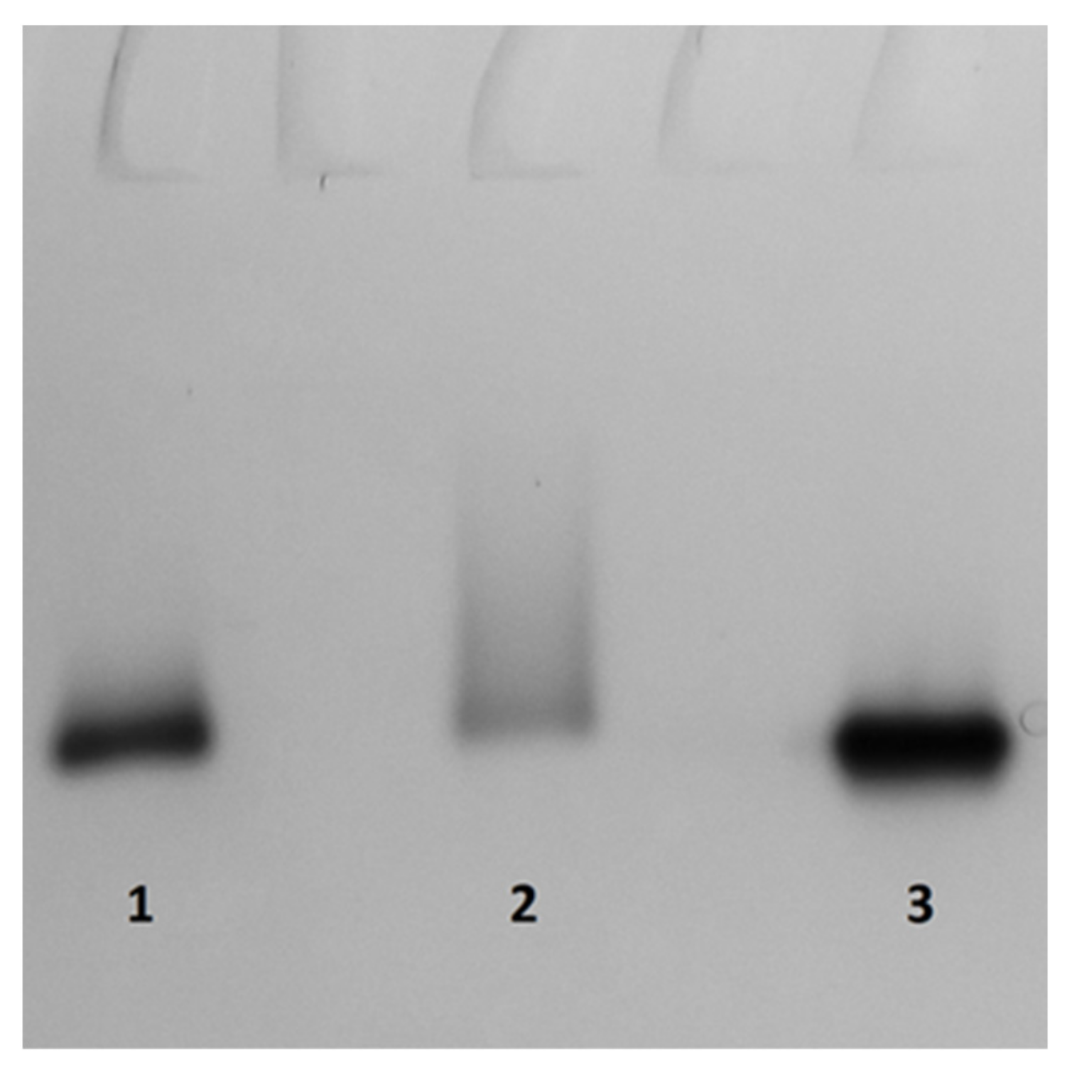Fermentation 07 00157 g006