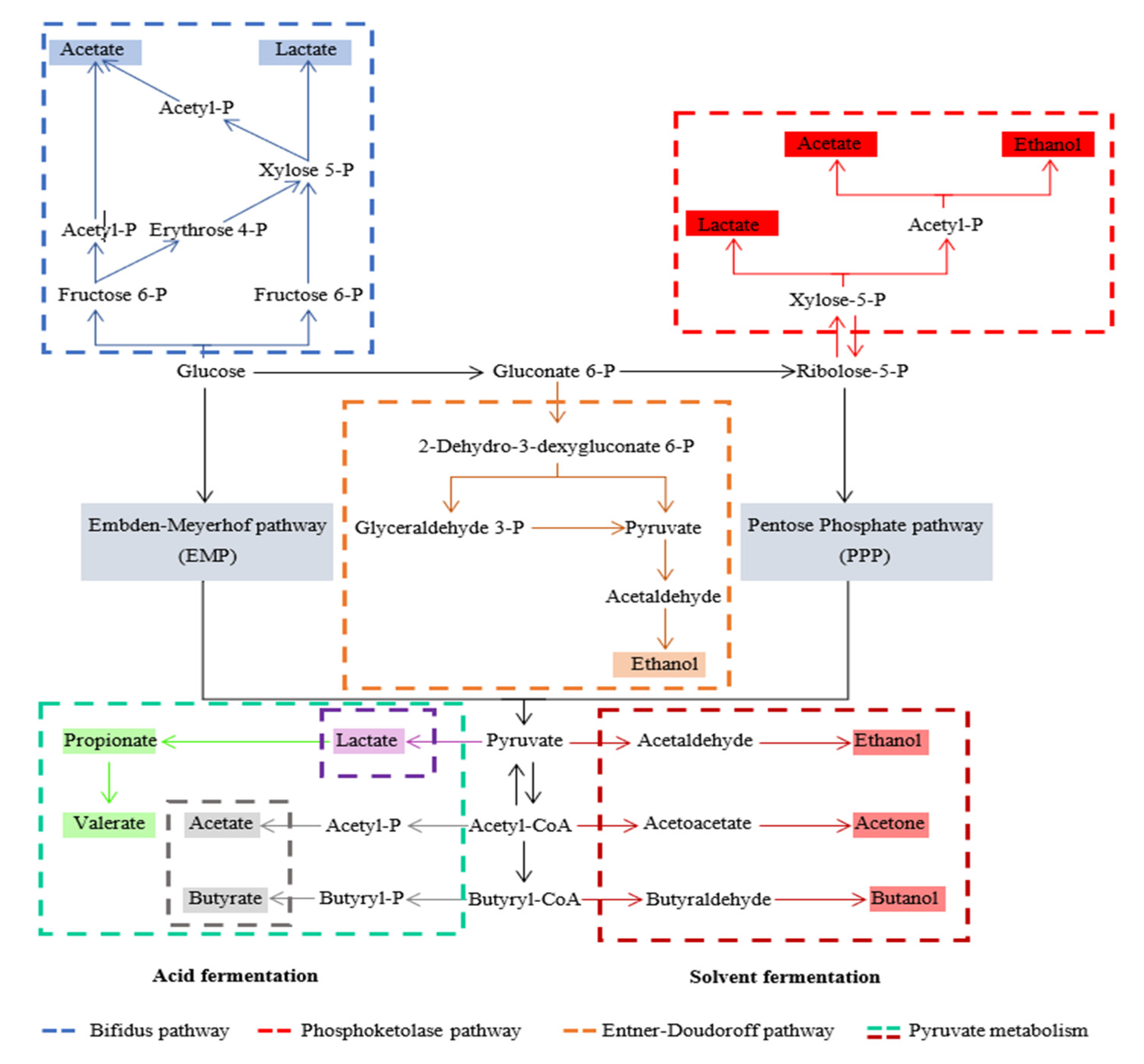 Fermentation 07 00159 g001 550