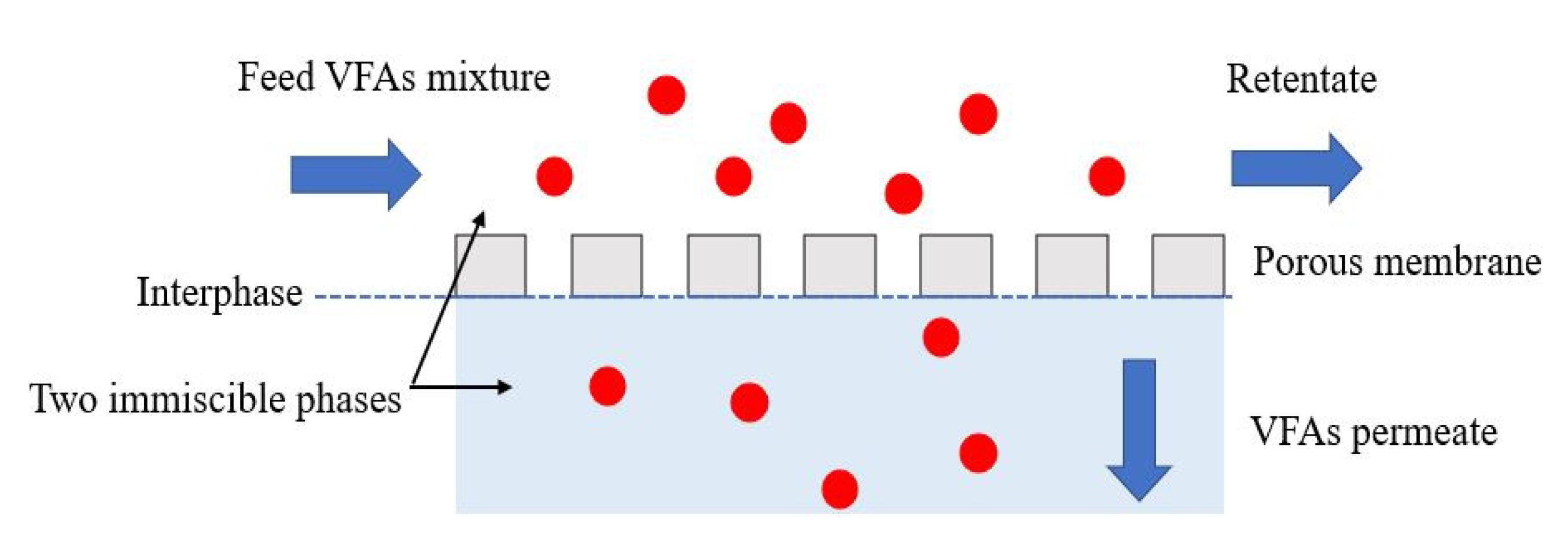 Fermentation 07 00159 g002 550