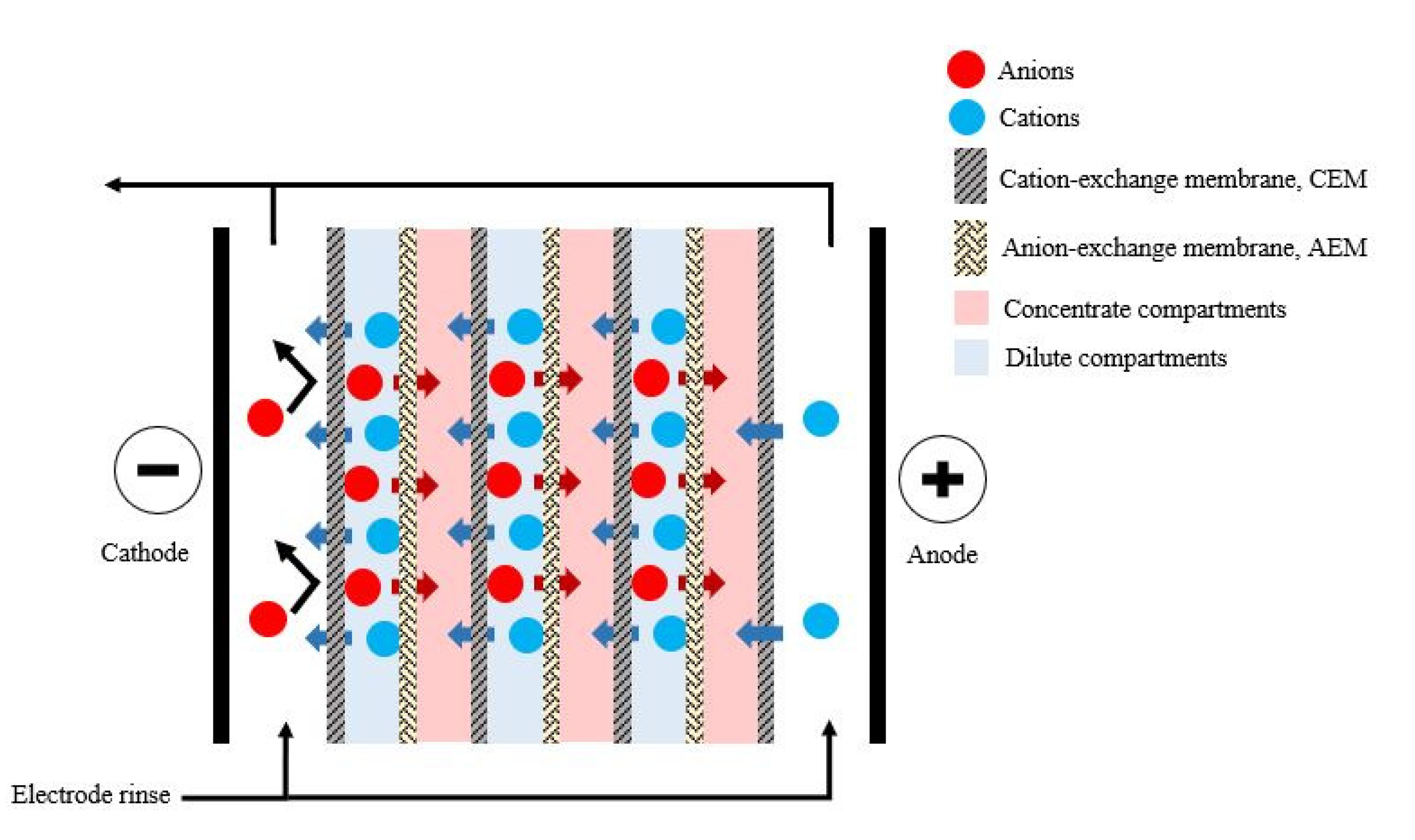 Fermentation 07 00159 g003 550
