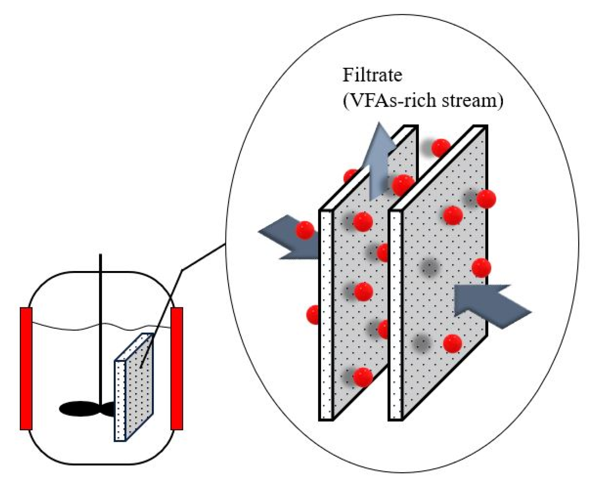 Fermentation 07 00159 g004 550