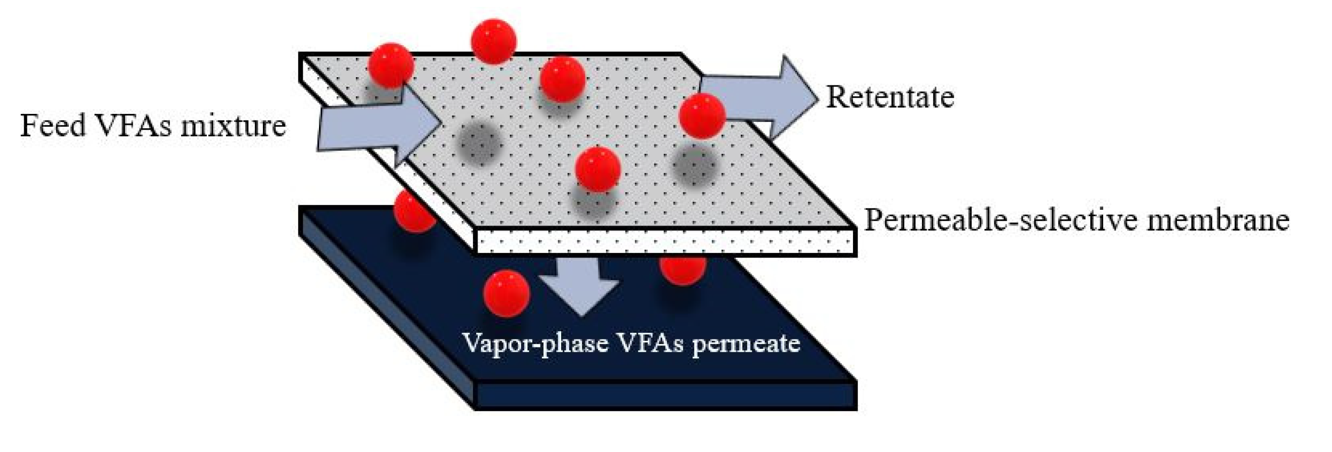 Fermentation 07 00159 g005 550