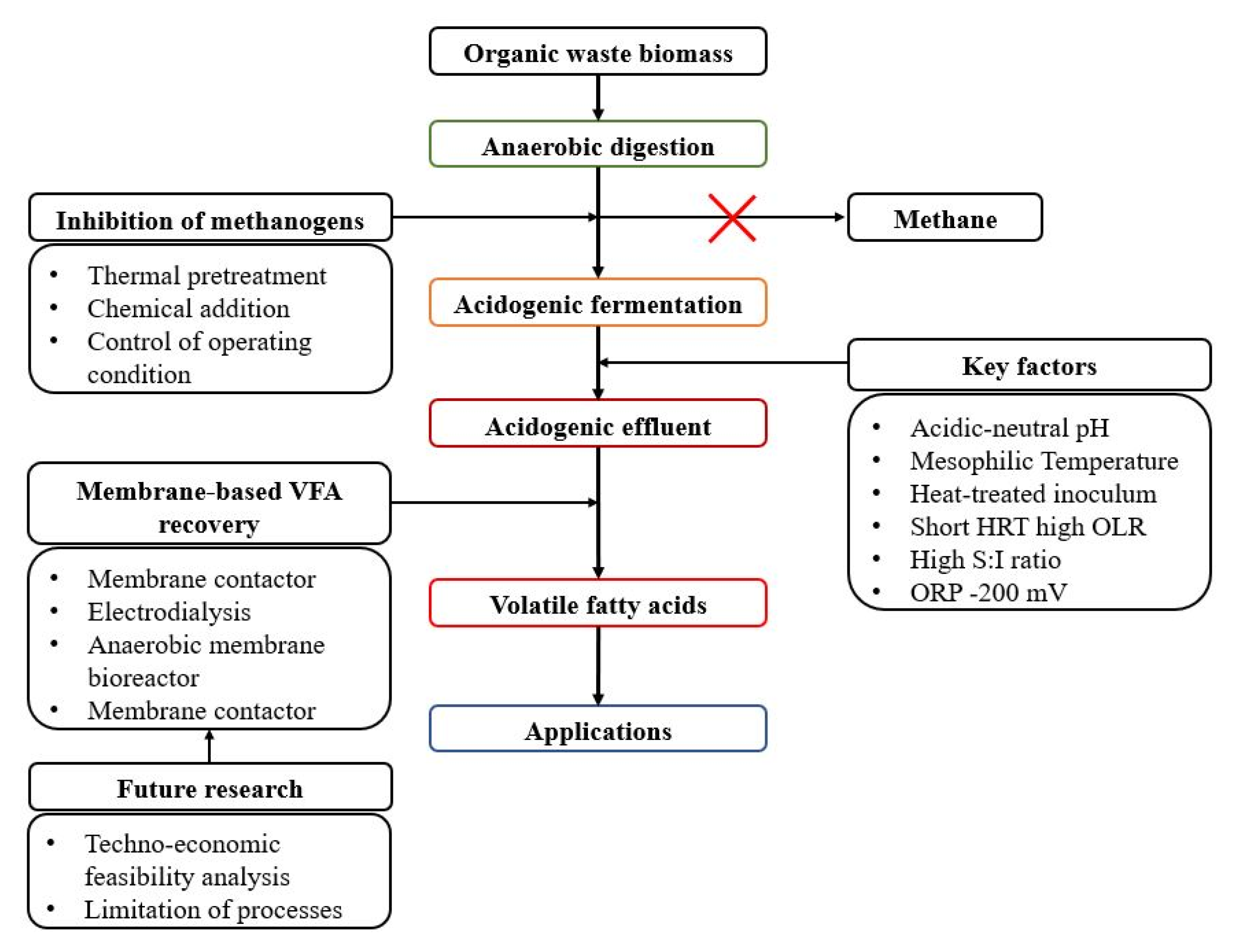 Fermentation 07 00159 g006 550