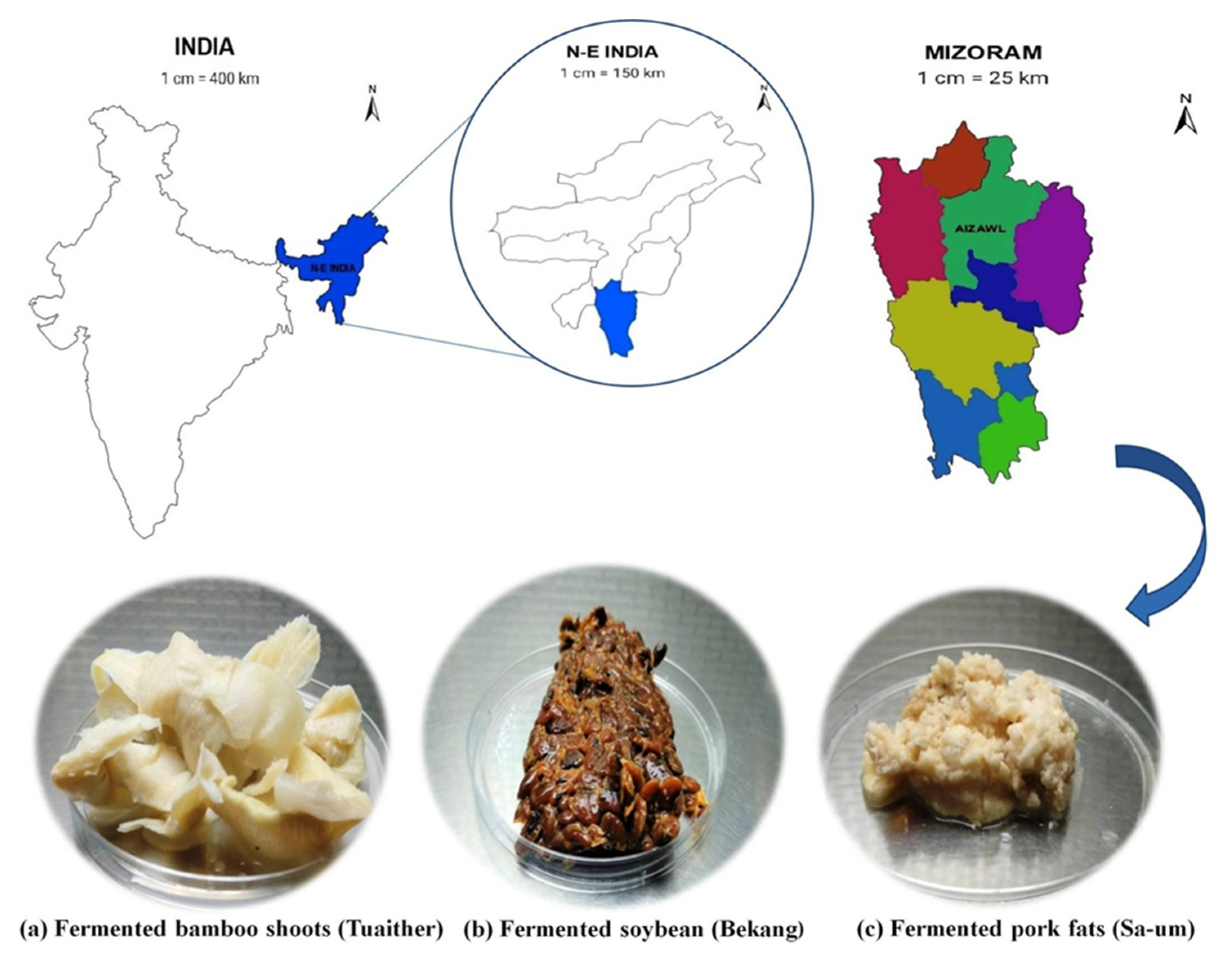 Fermentation 07 00167 g001