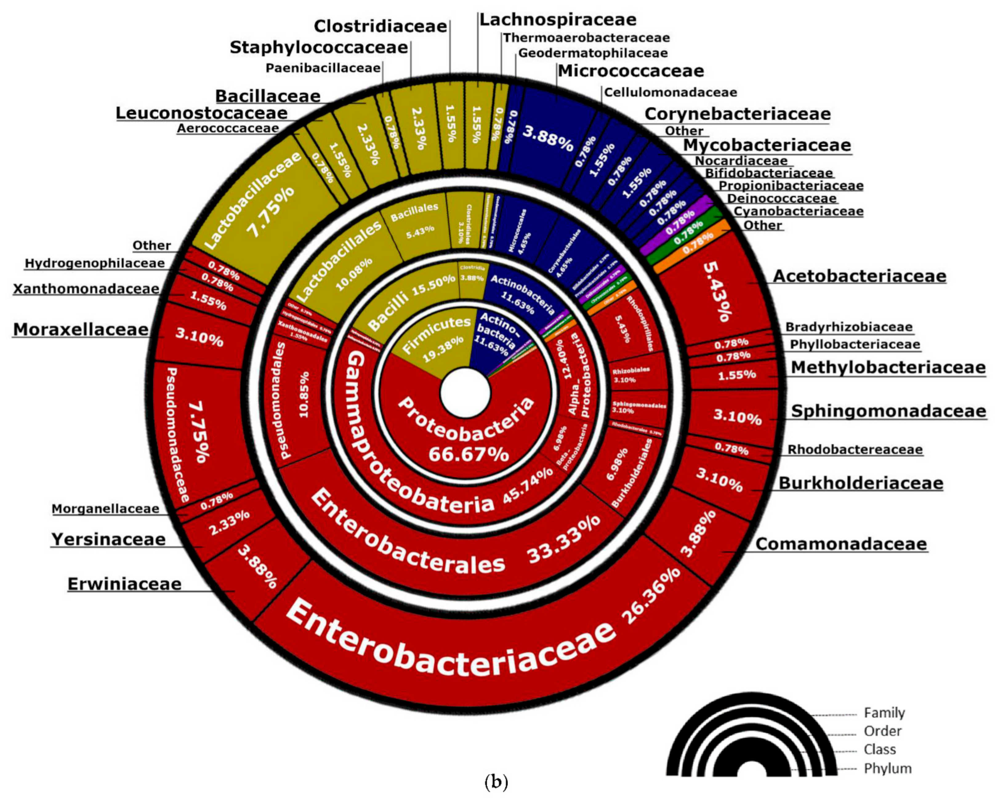 Fermentation 07 00174 g004b 550