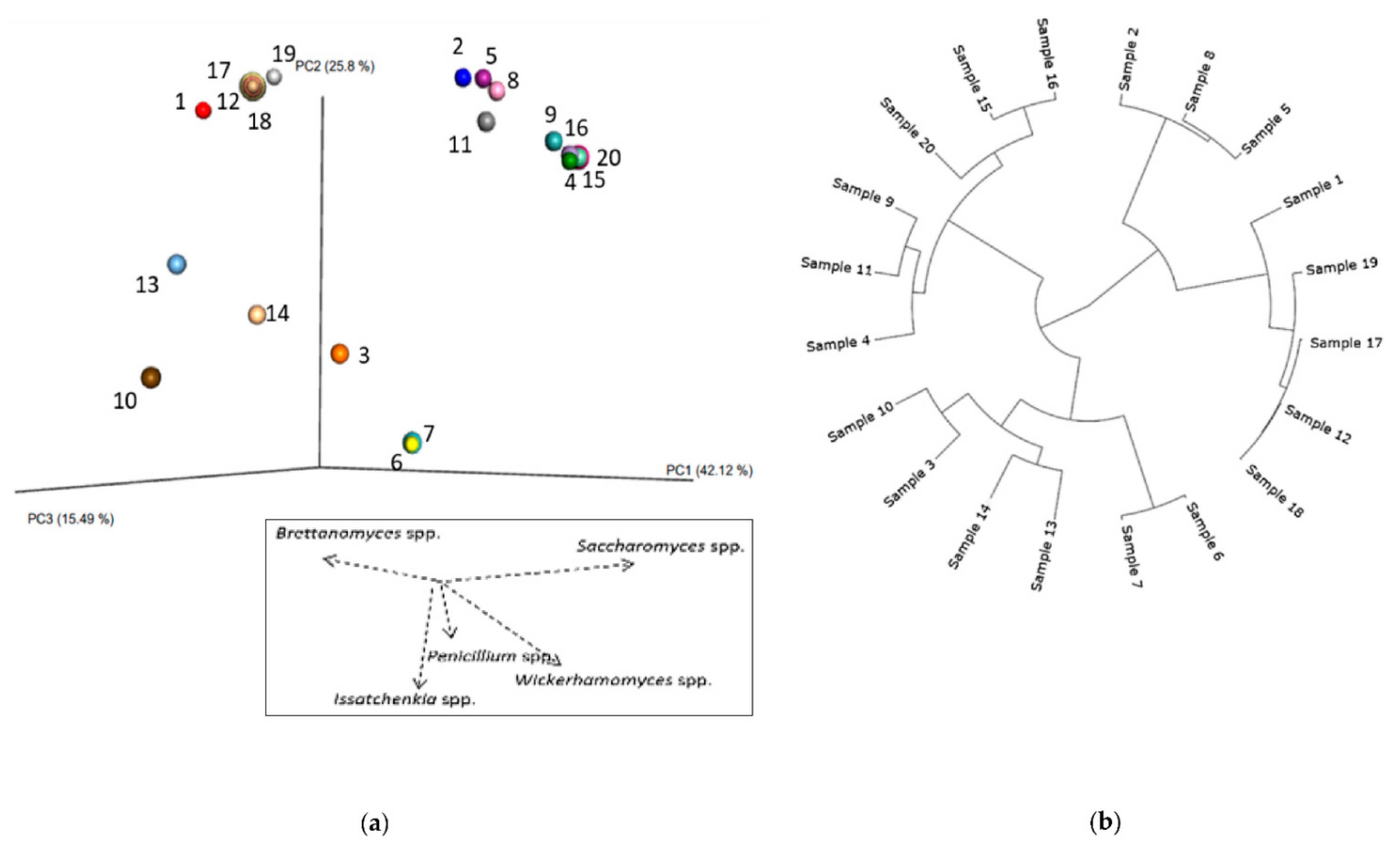 Fermentation 07 00174 g006 550