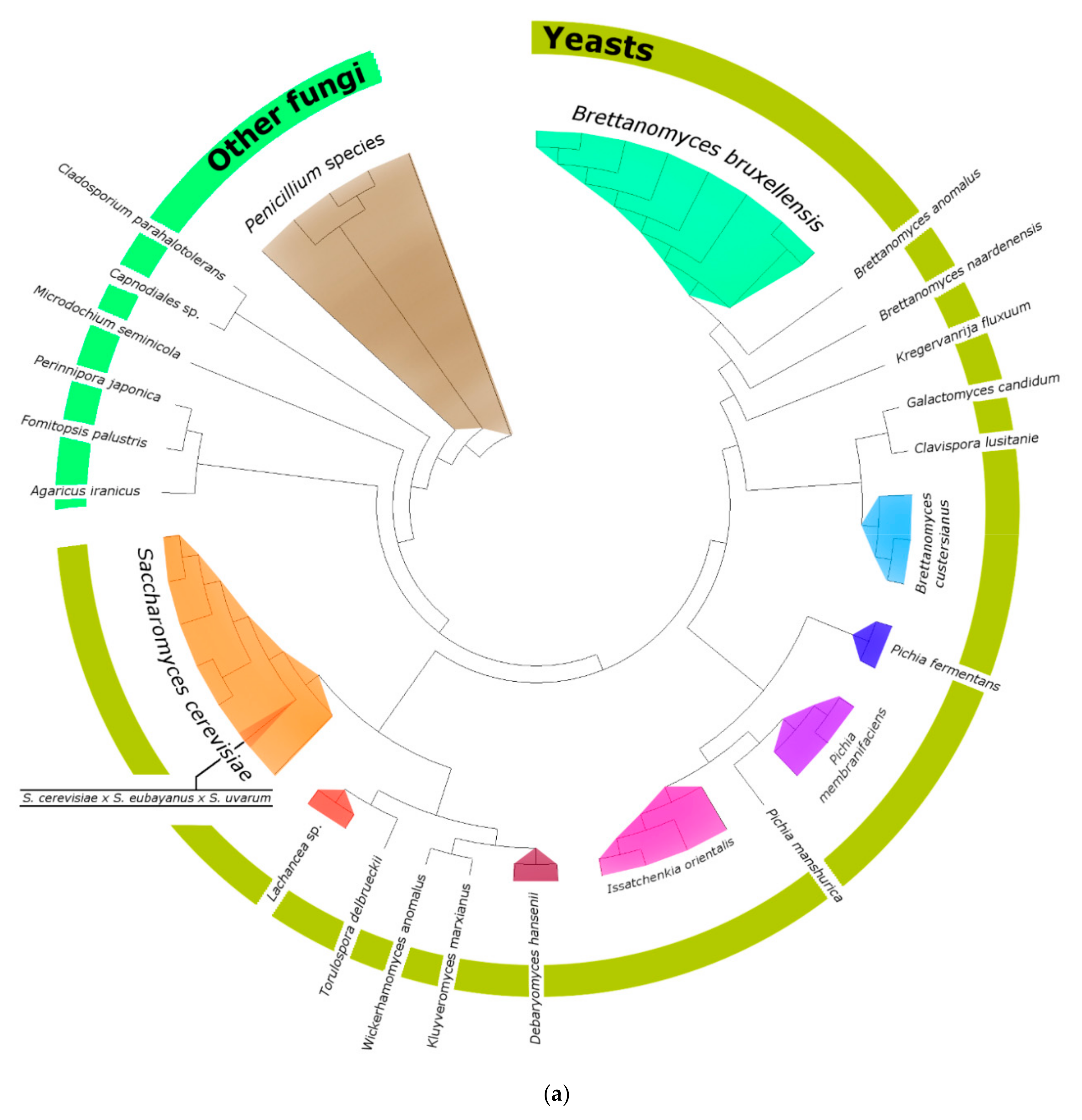Fermentation 07 00174 g007a 550