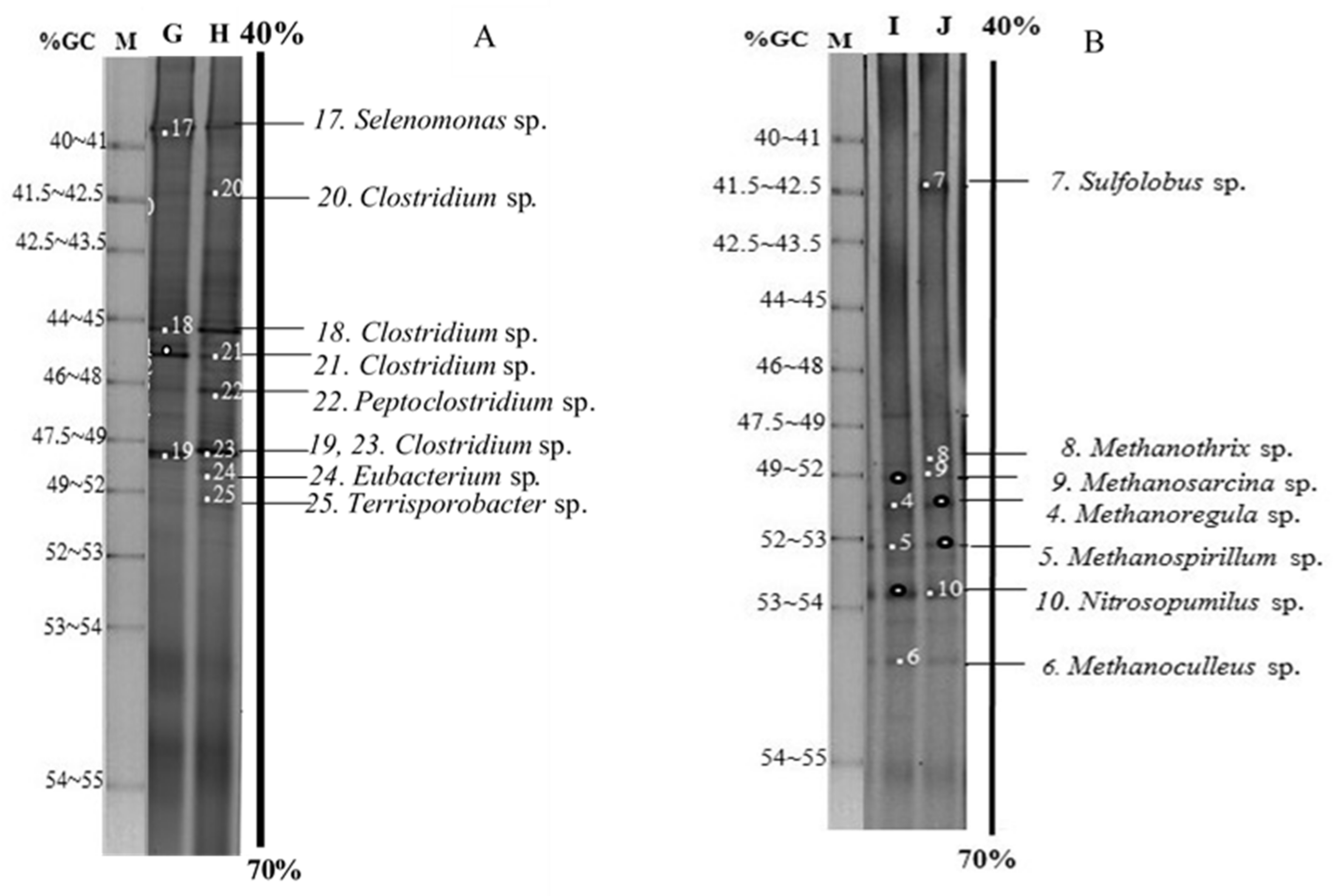 Fermentation 07 00175 g005 550