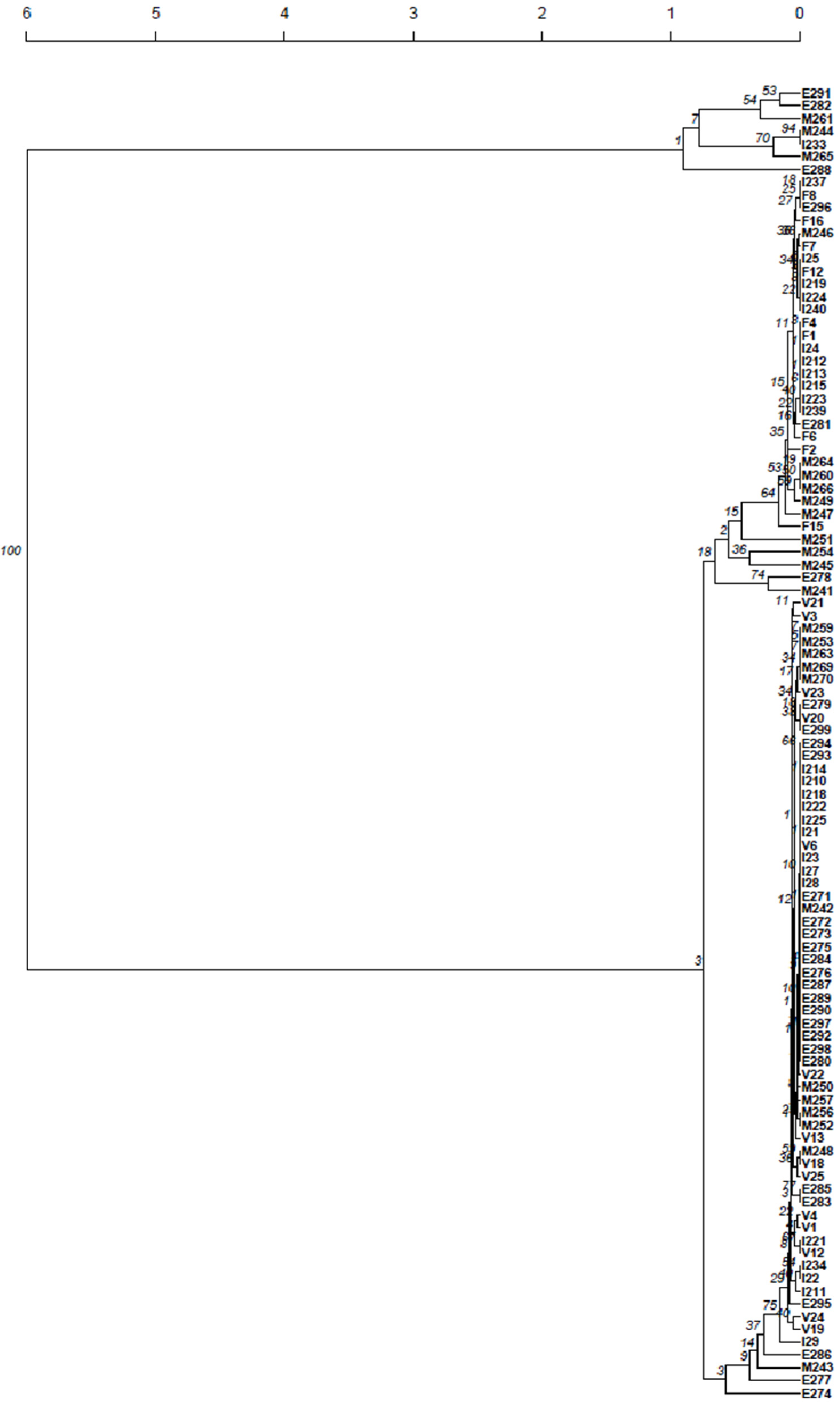 Fermentation 07 00176 g003 550