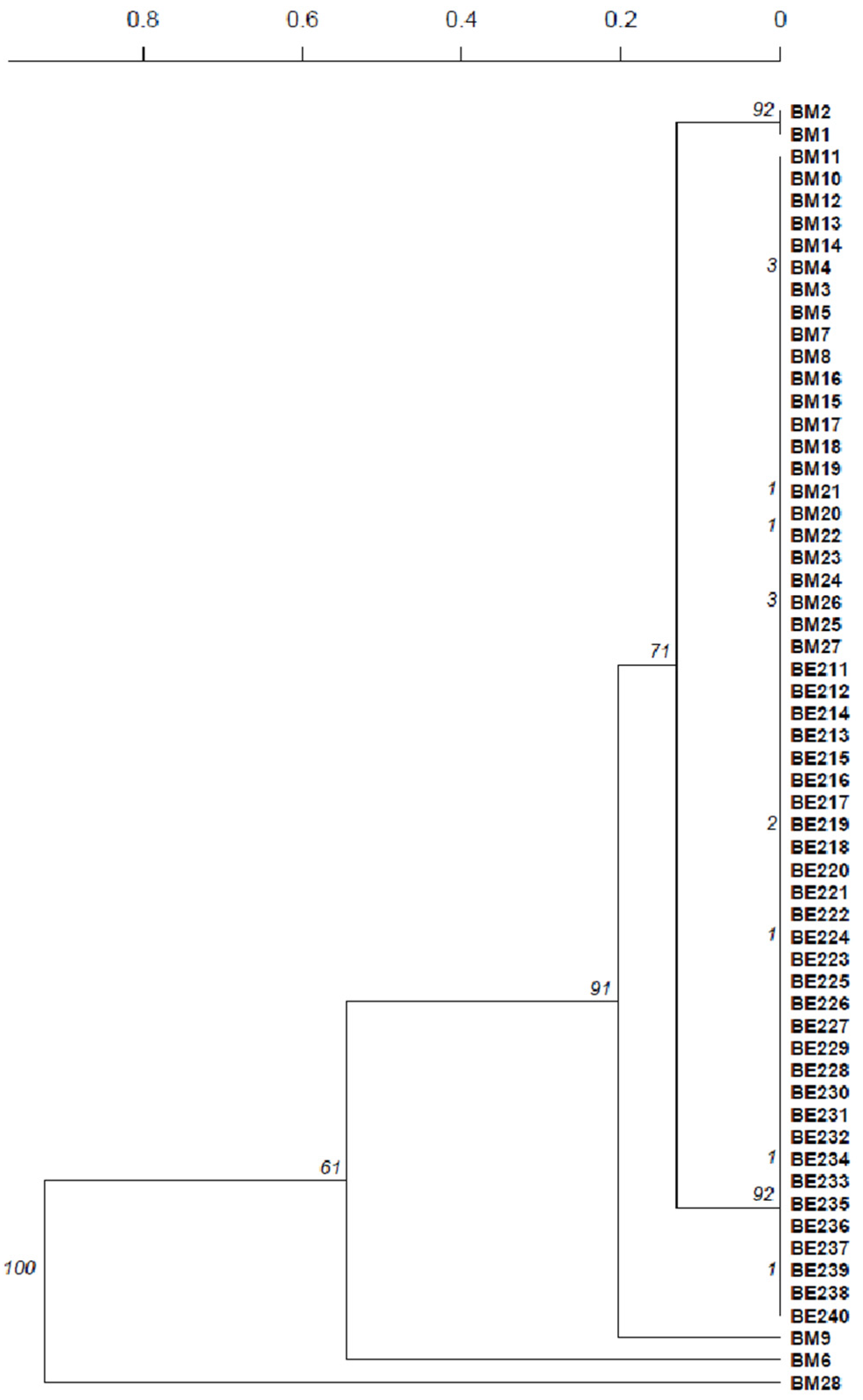 Fermentation 07 00176 g005 550