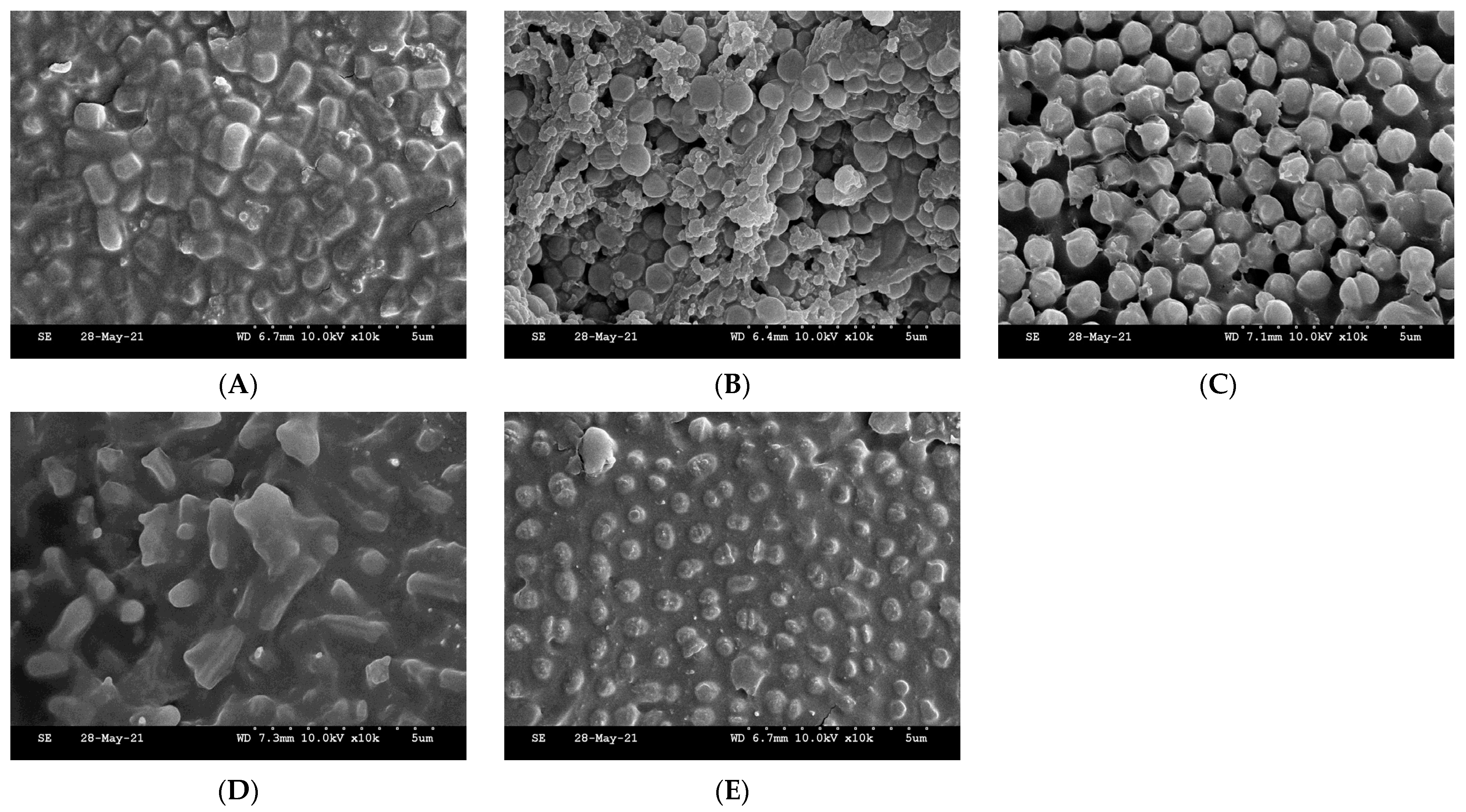 Fermentation 07 00177 g001 550