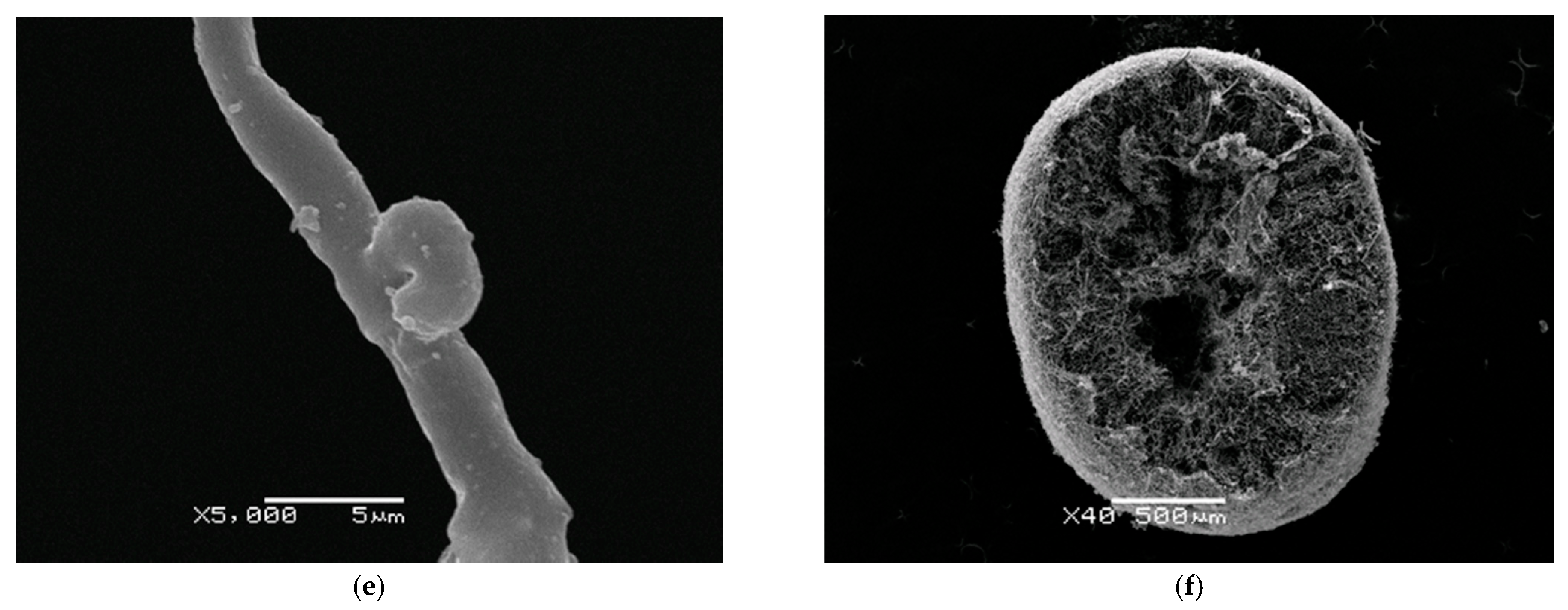 Fermentation 07 00180 g006b