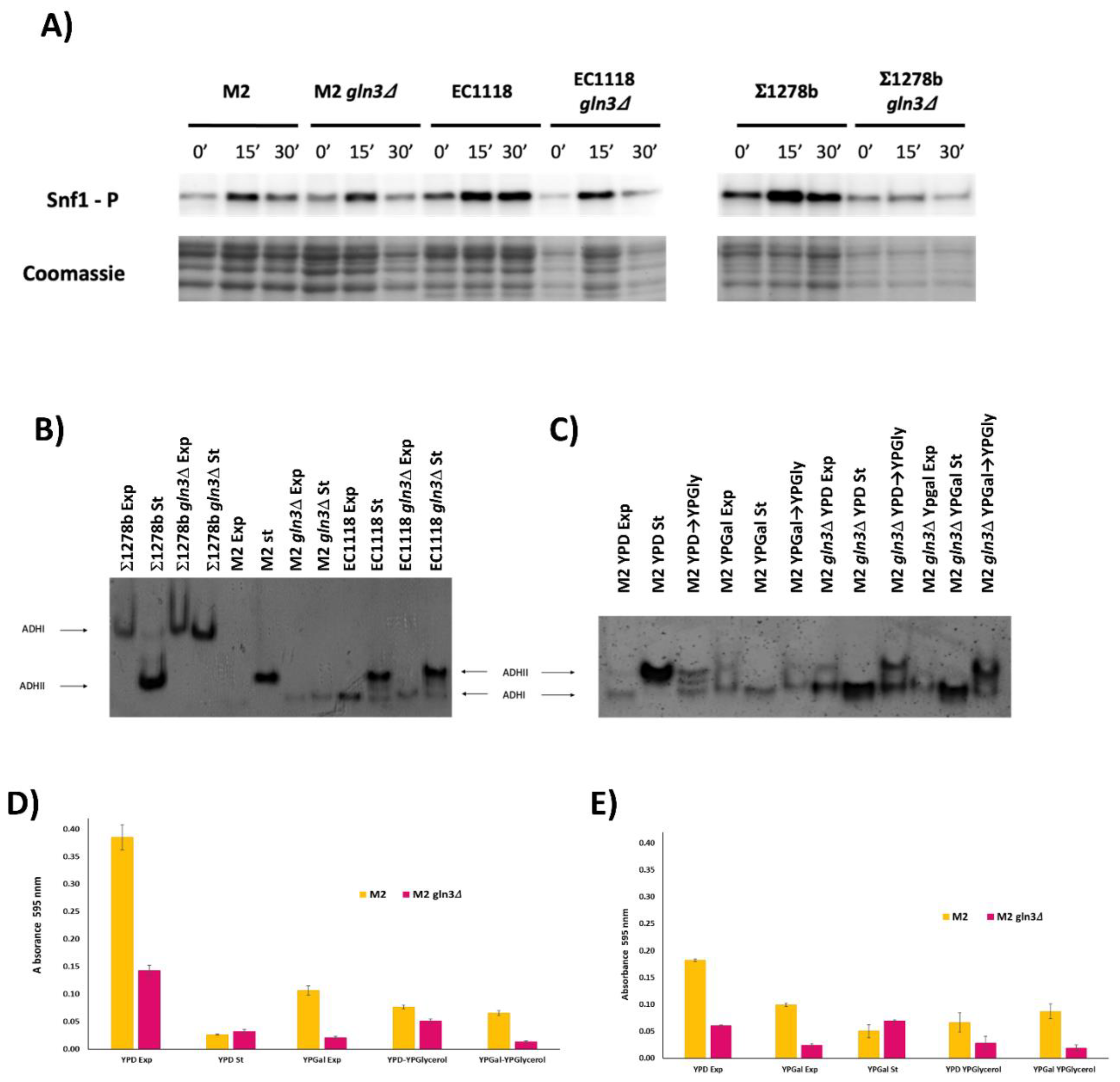 Fermentation 07 00181 g005 550