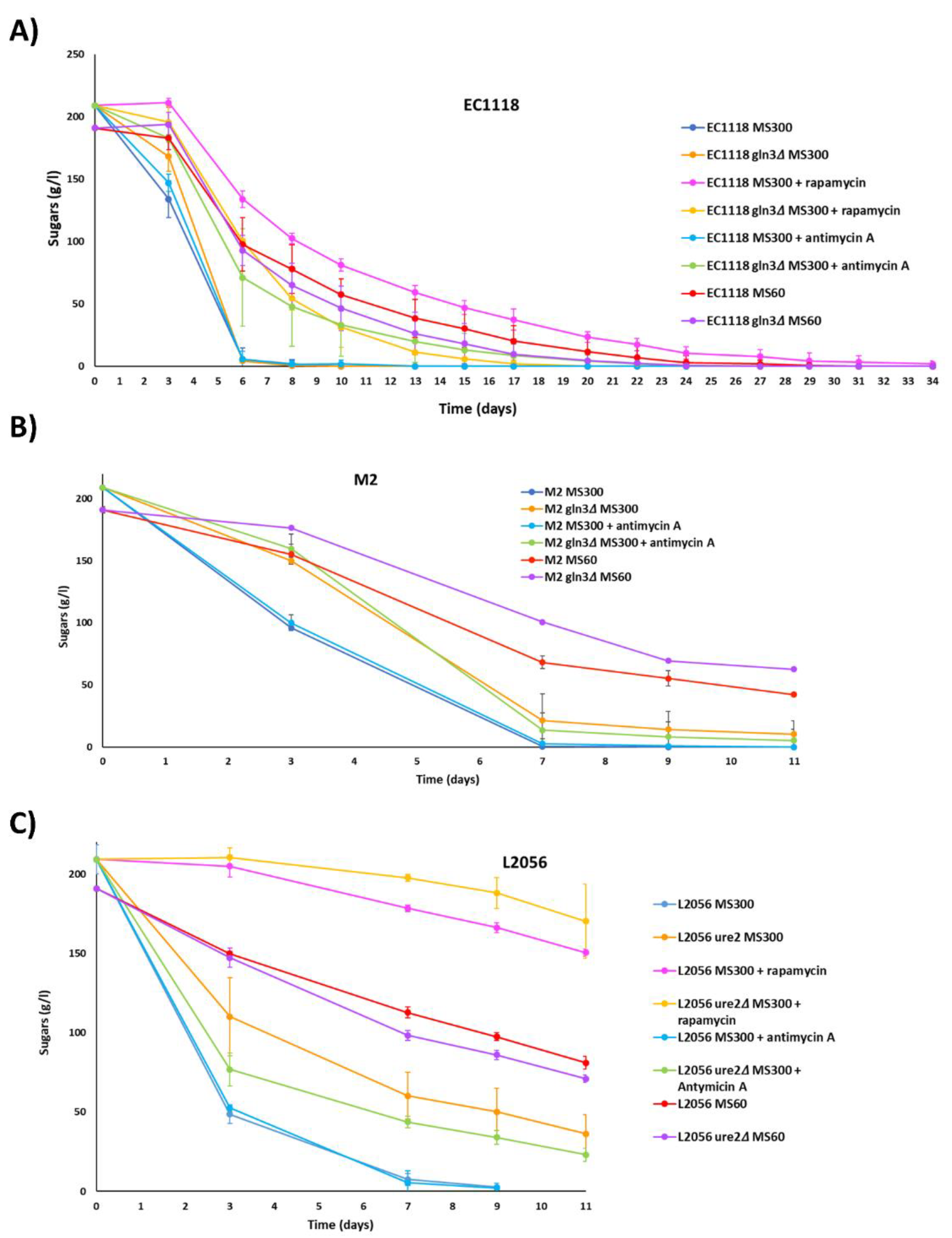 Fermentation 07 00181 g006 550