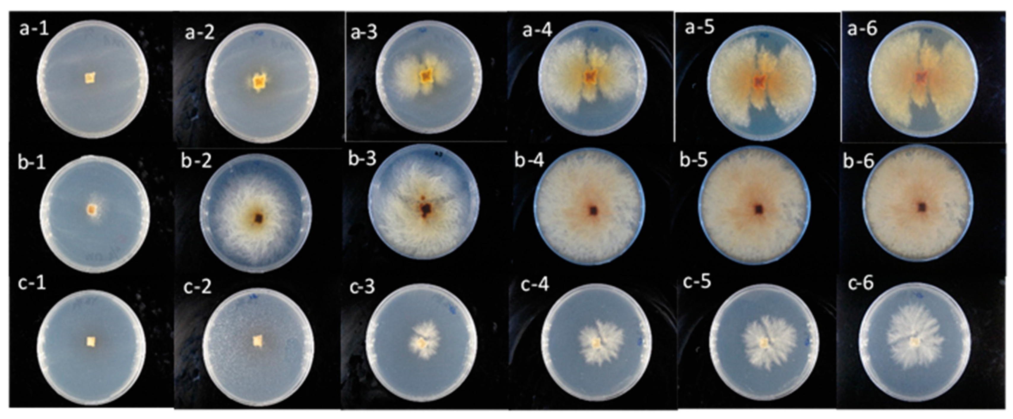 Fermentation 07 00182 g001