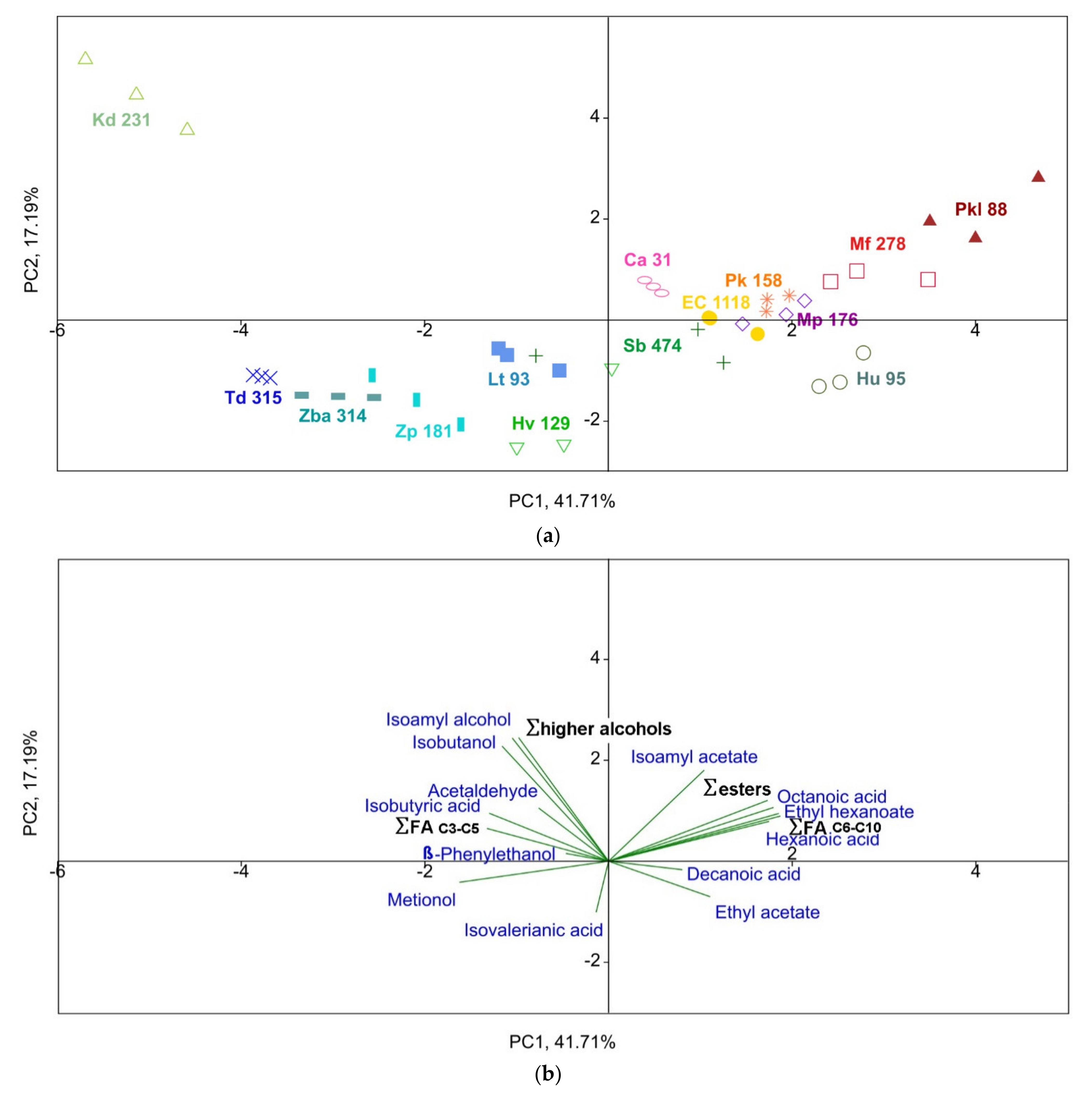 Fermentation 07 00183 g003 550