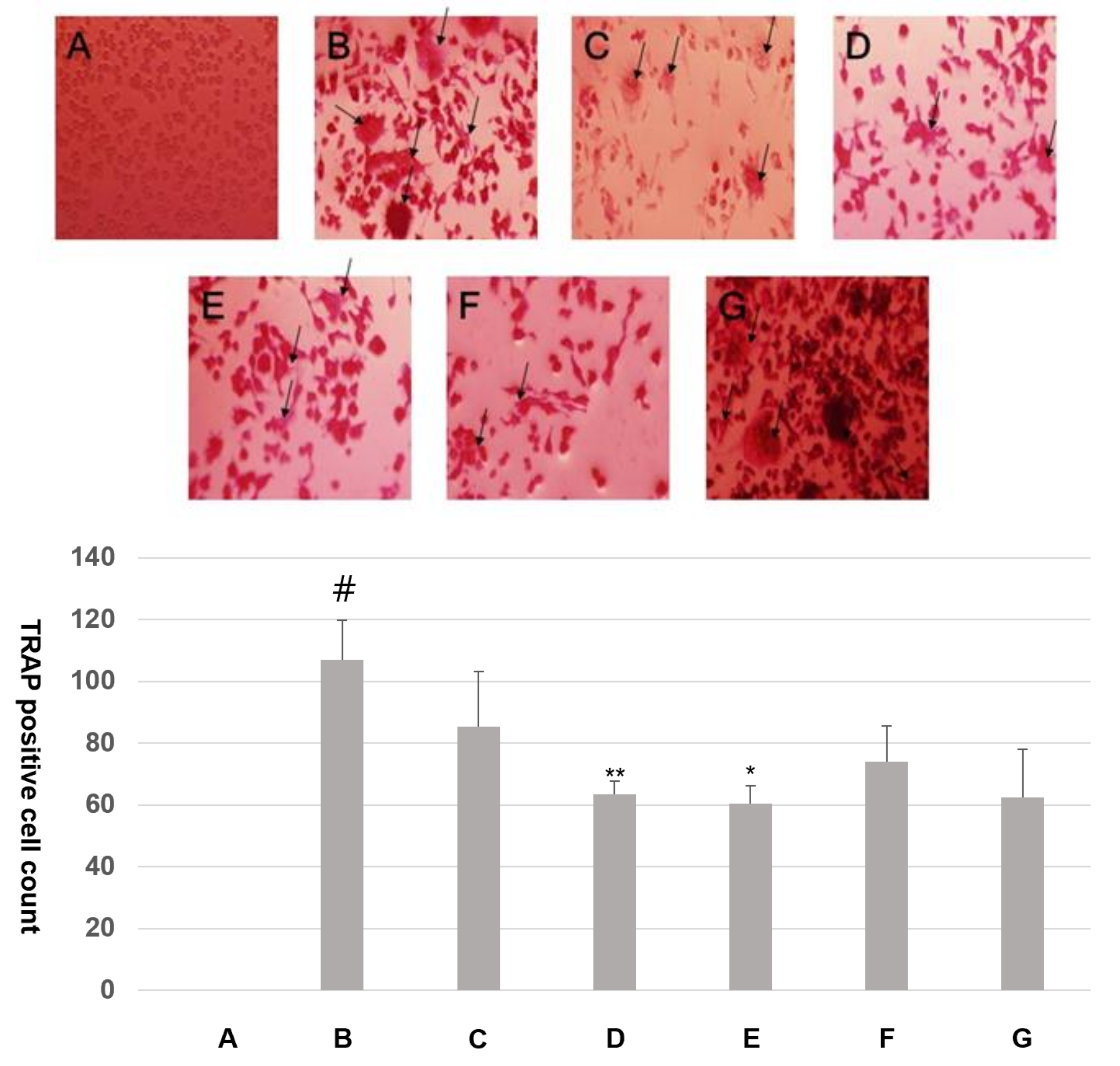 Fermentation 07 00186 g005 550