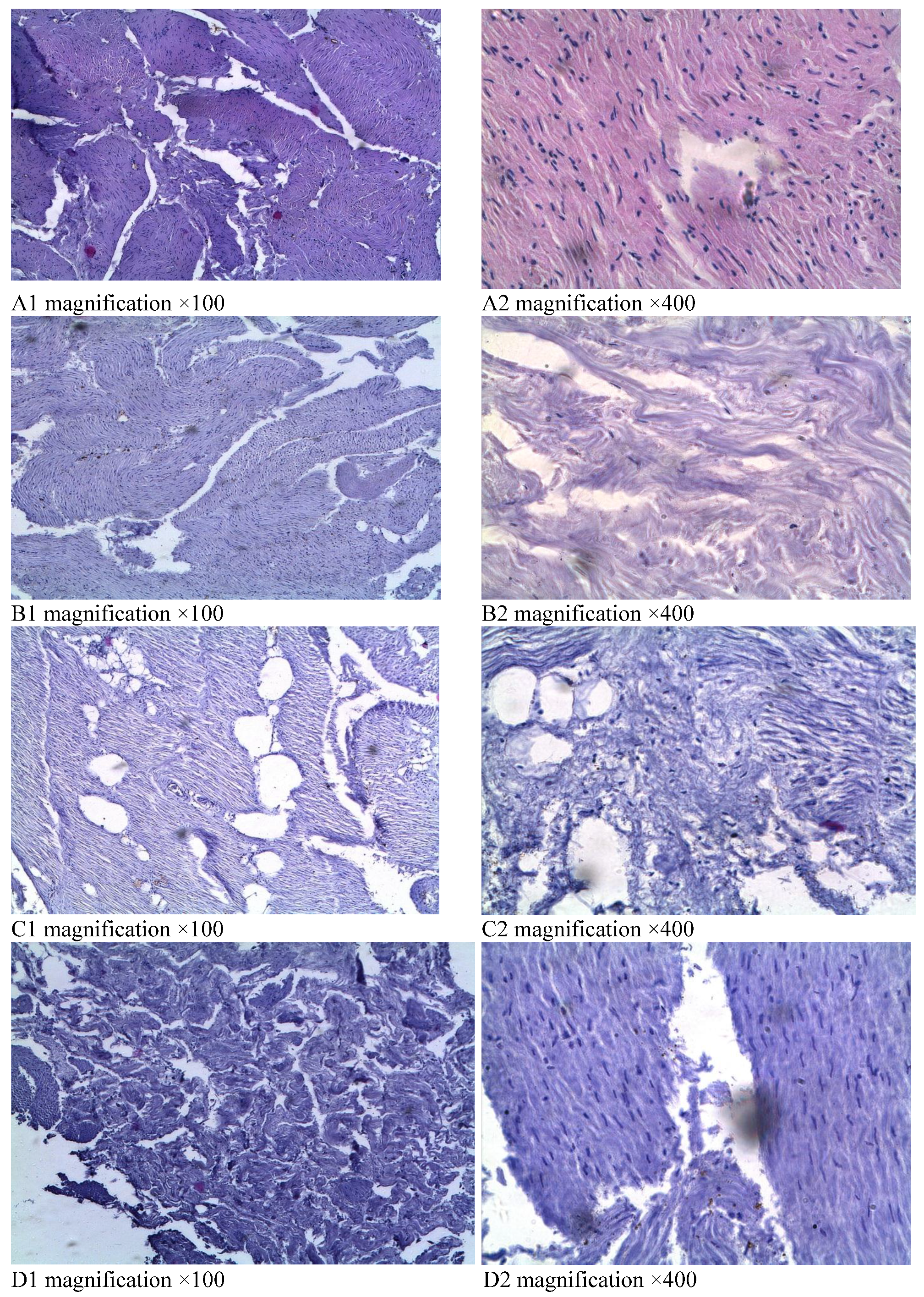 Fermentation 07 00190 g001 550