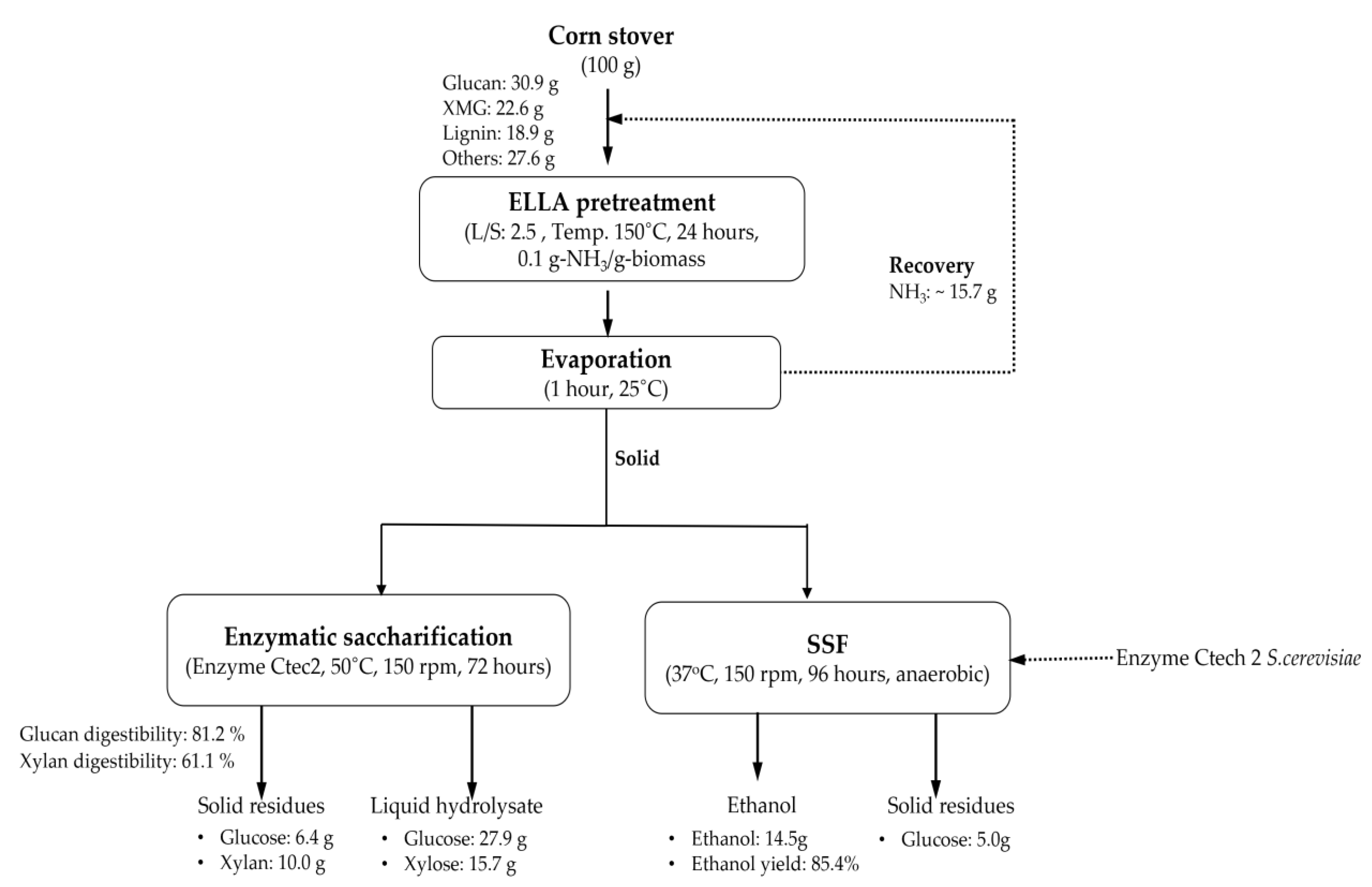 Fermentation 07 00191 g007 550